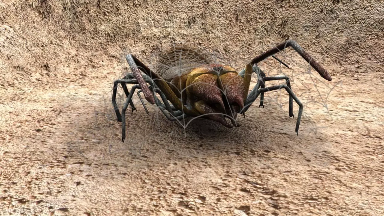 spider low poly textured rigged animated Low-poly 3D model_0