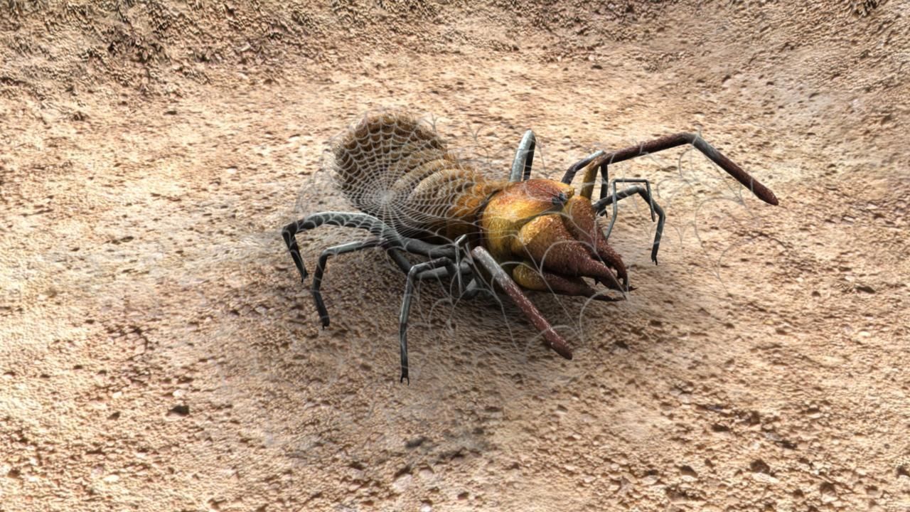 spider low poly textured rigged animated Low-poly 3D model_3