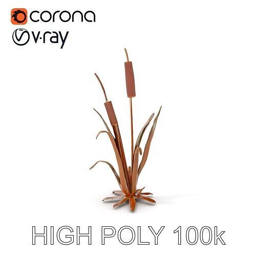 Reed Plant Model Pack for Realistic Environments Low-poly 3D model