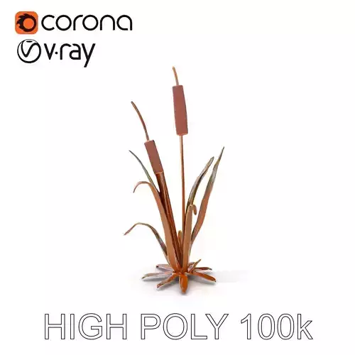 Reed Plant Model Pack for Realistic Environments