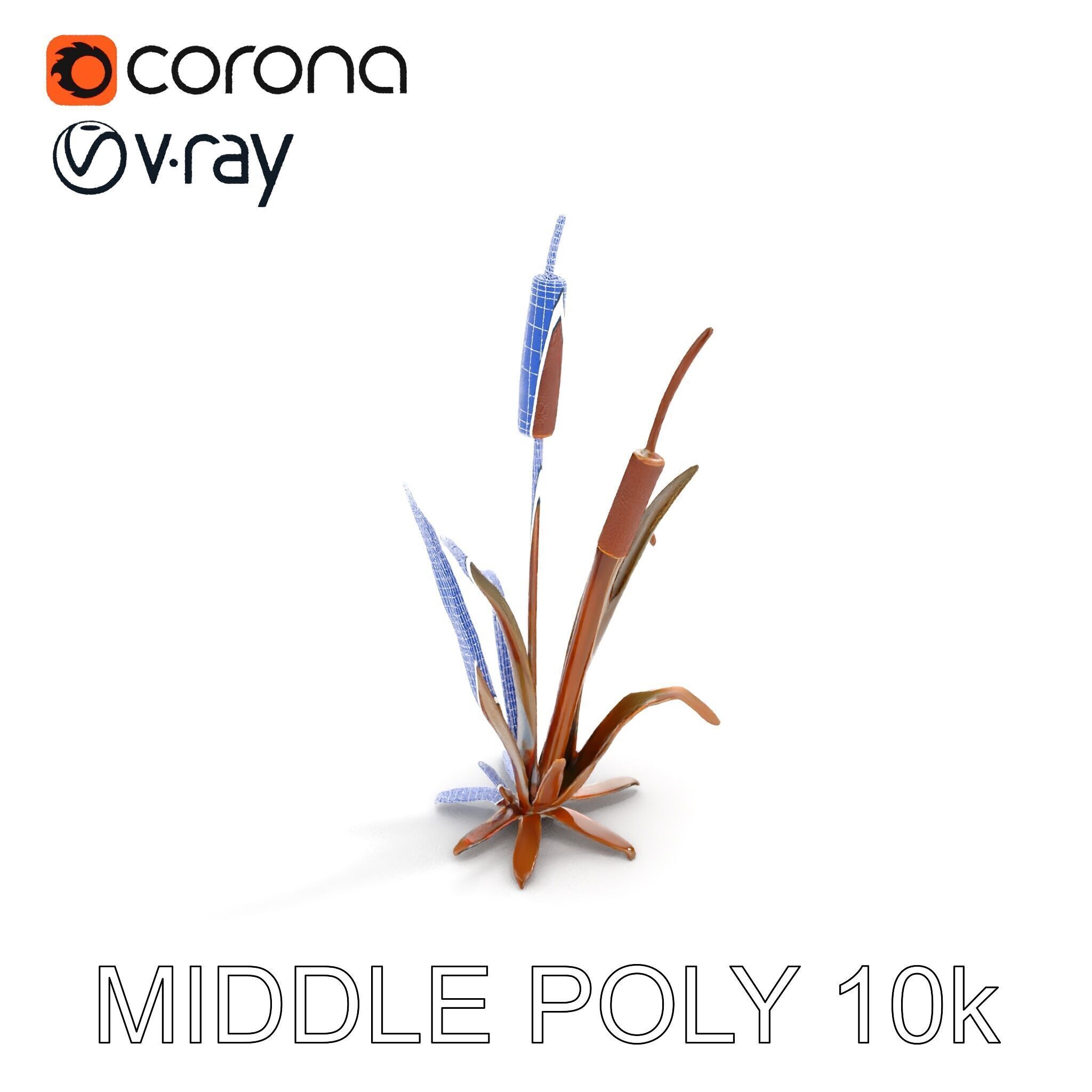 Reed Plant Model Pack for Realistic Environments Low-poly 3D model_19