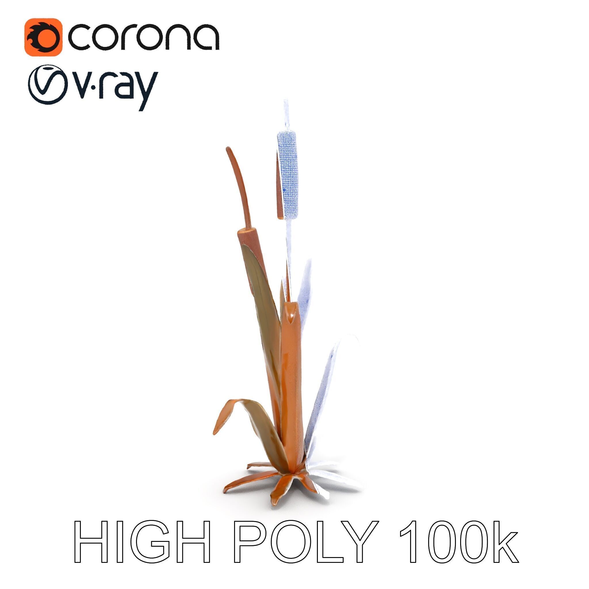 Reed Plant Model Pack for Realistic Environments Low-poly 3D model_15