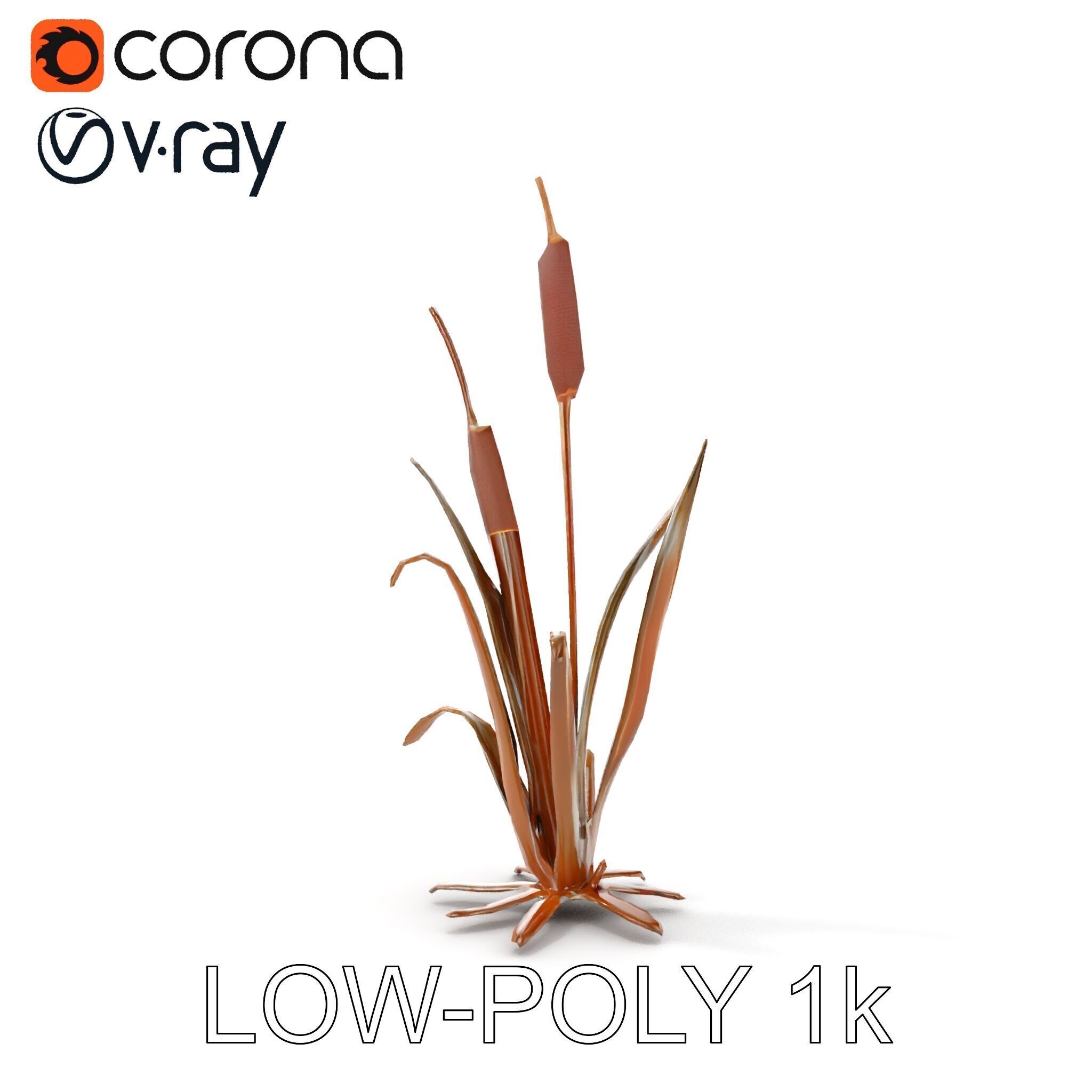 Reed Plant Model Pack for Realistic Environments Low-poly 3D model_14