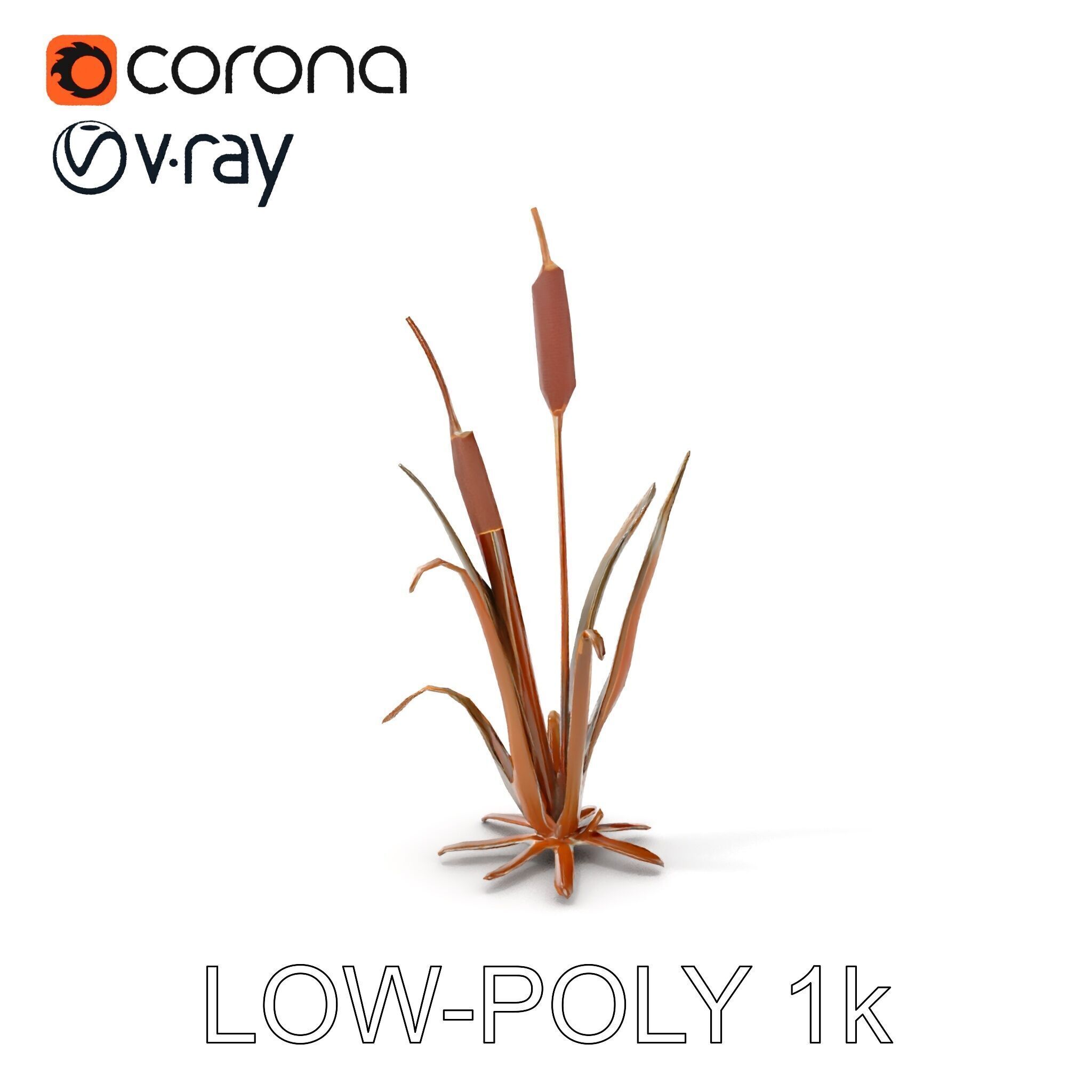 Reed Plant Model Pack for Realistic Environments Low-poly 3D model_7