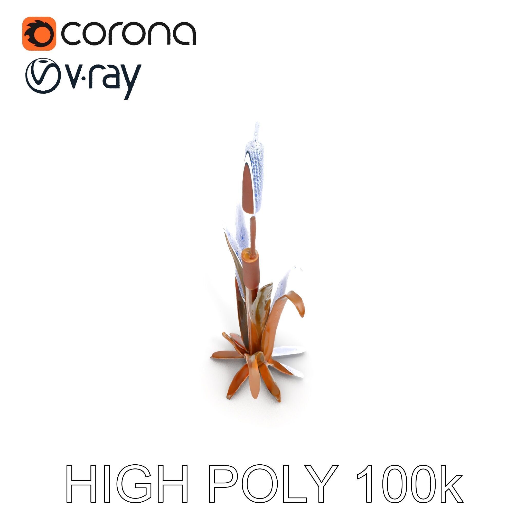 Reed Plant Model Pack for Realistic Environments Low-poly 3D model_24