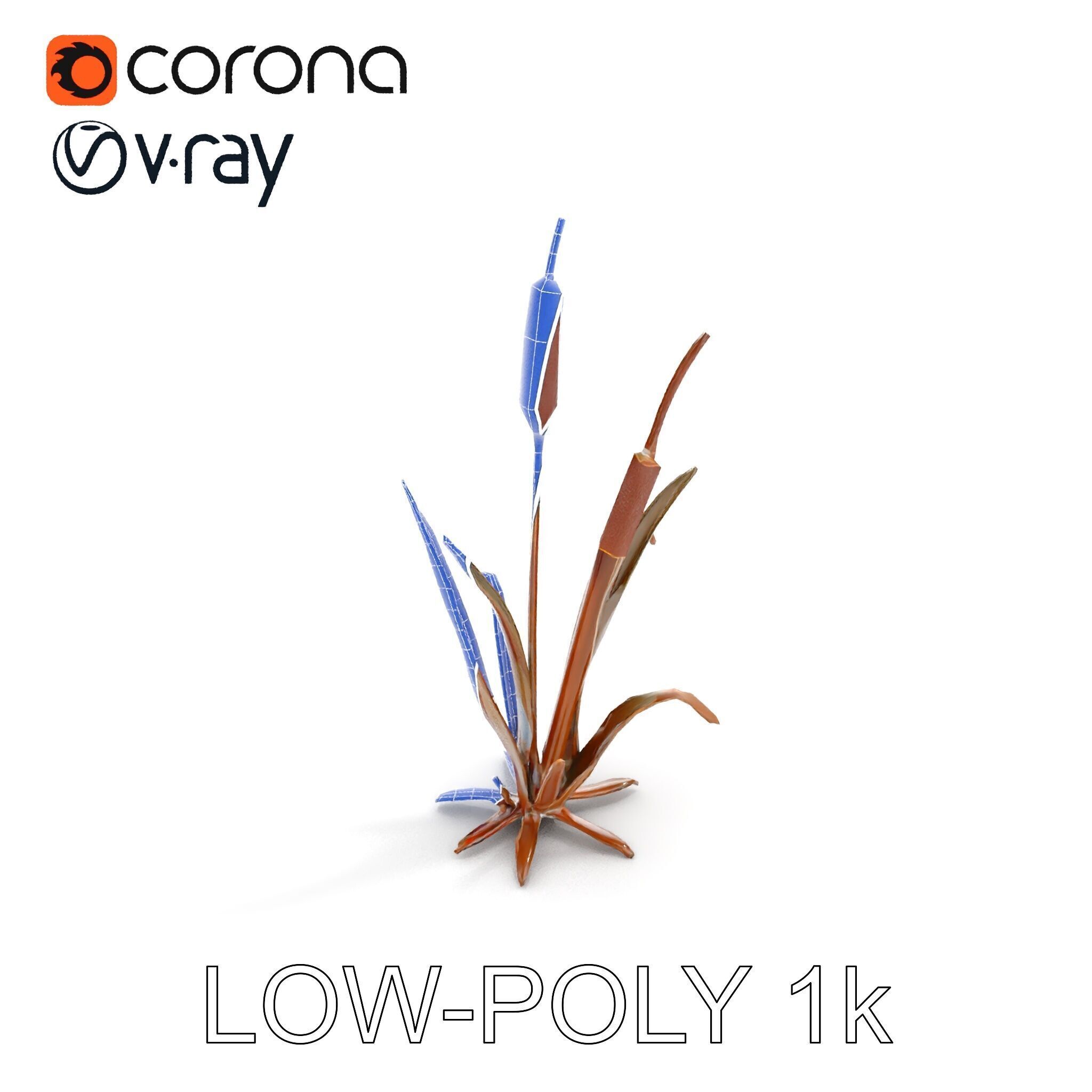 Reed Plant Model Pack for Realistic Environments Low-poly 3D model_17