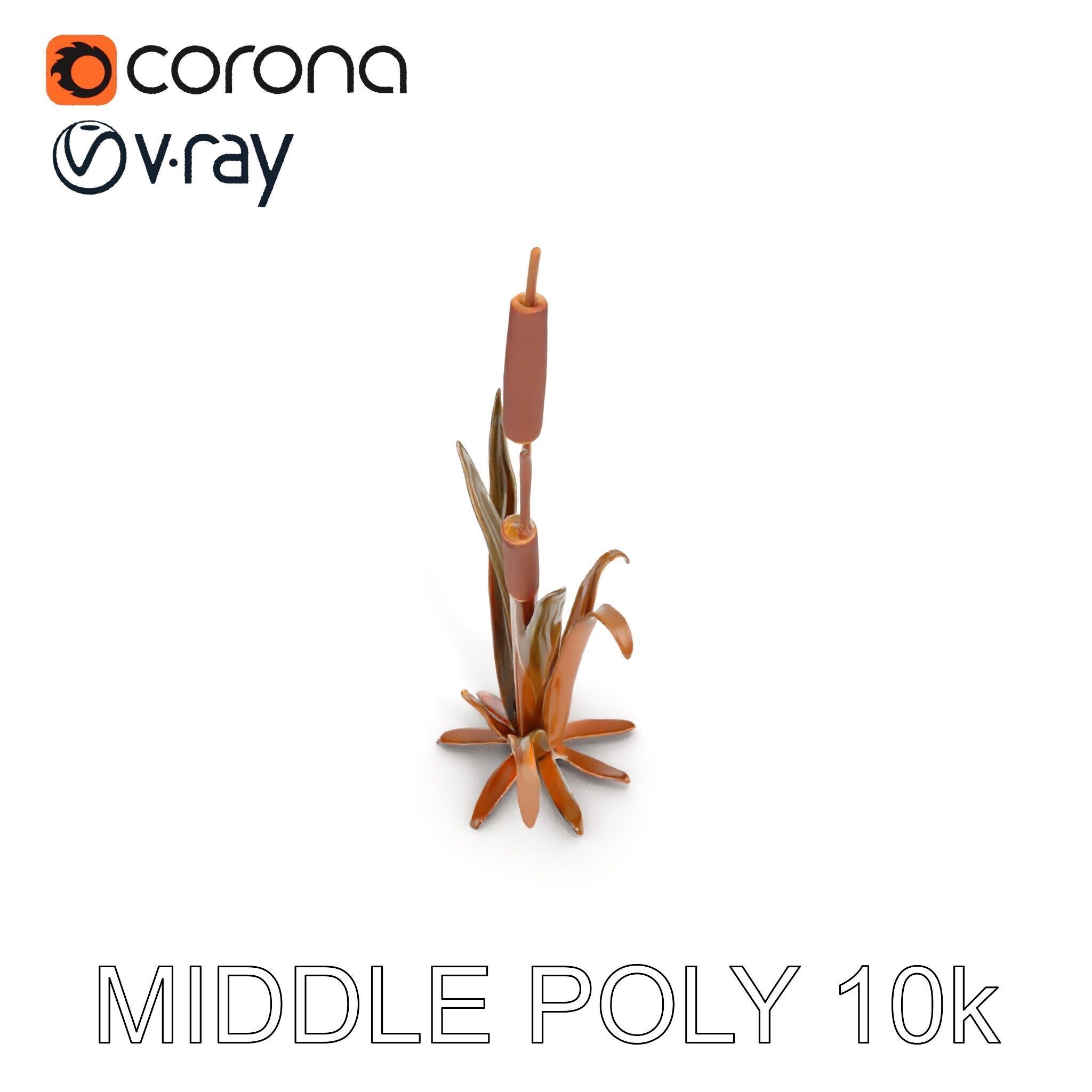 Reed Plant Model Pack for Realistic Environments Low-poly 3D model_16