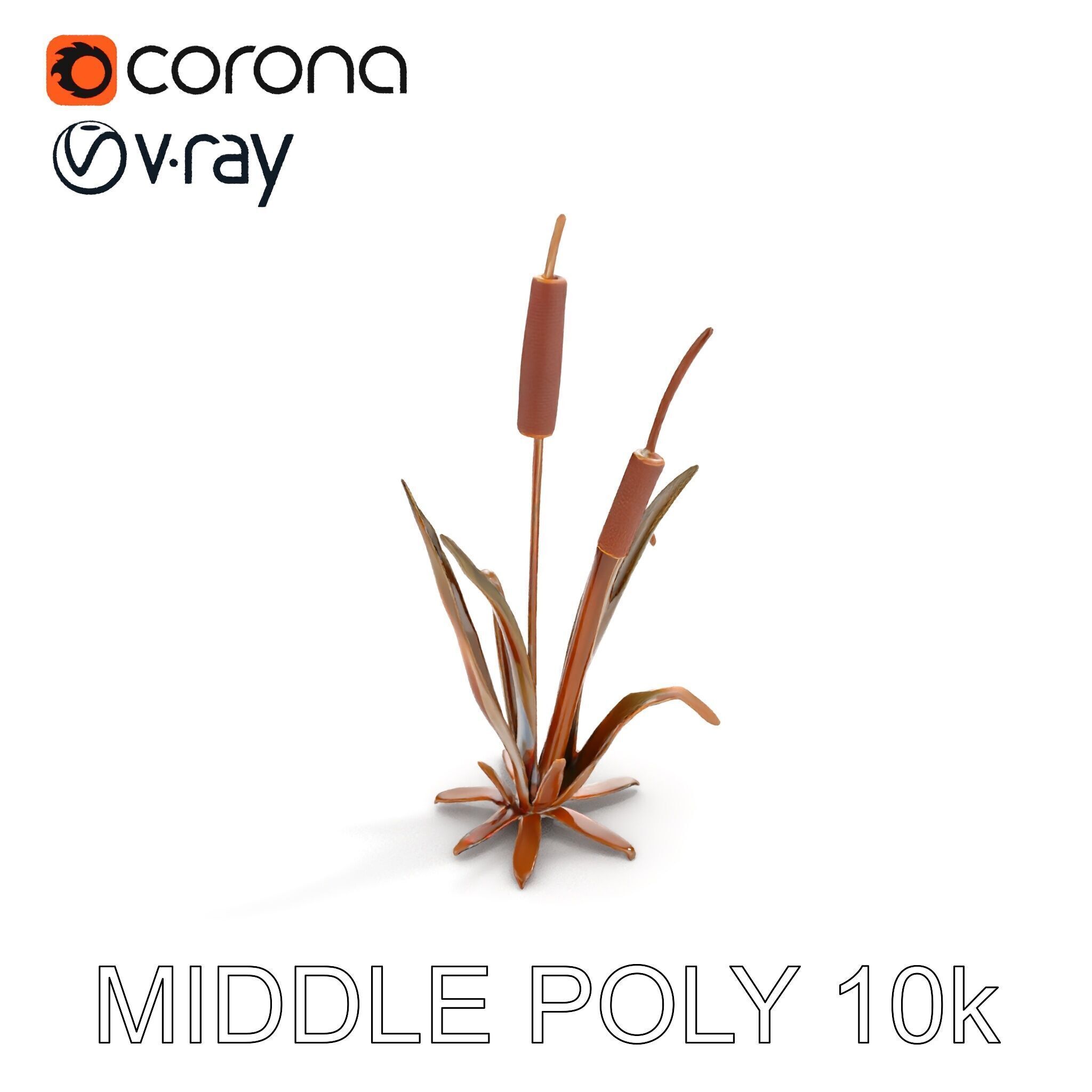 Reed Plant Model Pack for Realistic Environments Low-poly 3D model_13