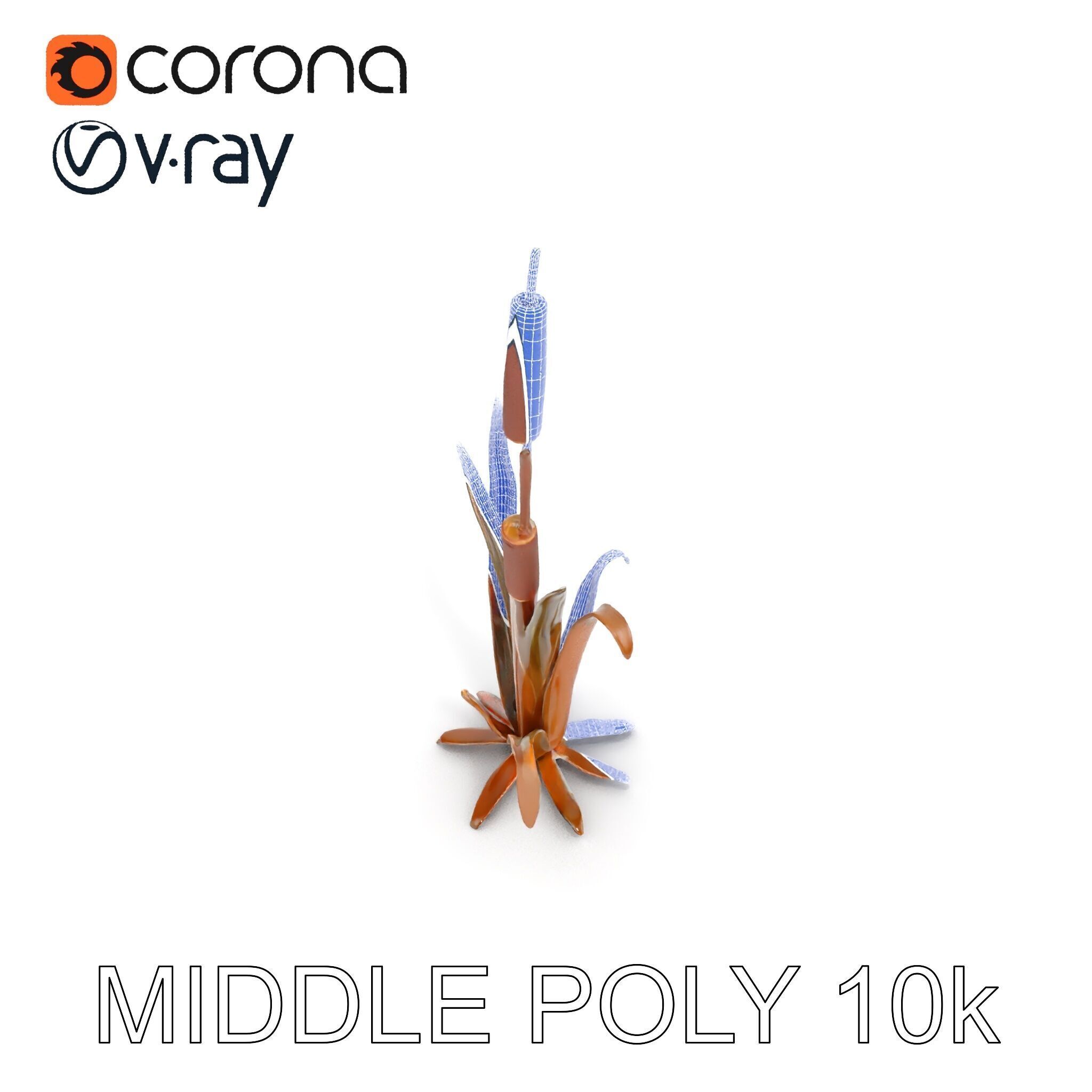 Reed Plant Model Pack for Realistic Environments Low-poly 3D model_28