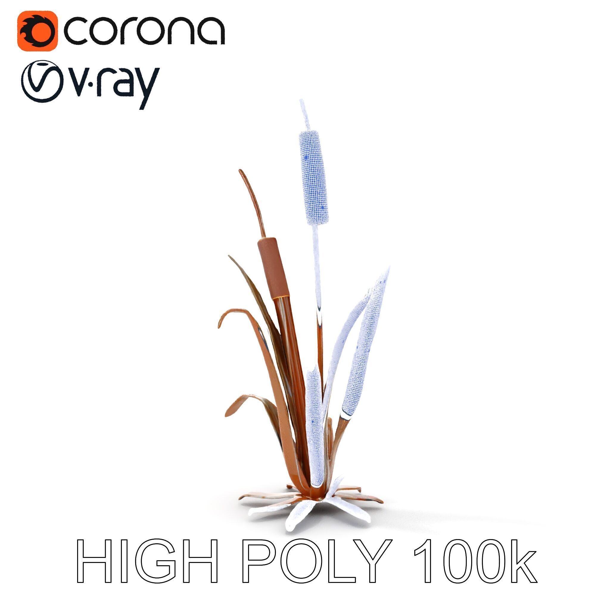 Reed Plant Model Pack for Realistic Environments Low-poly 3D model_35