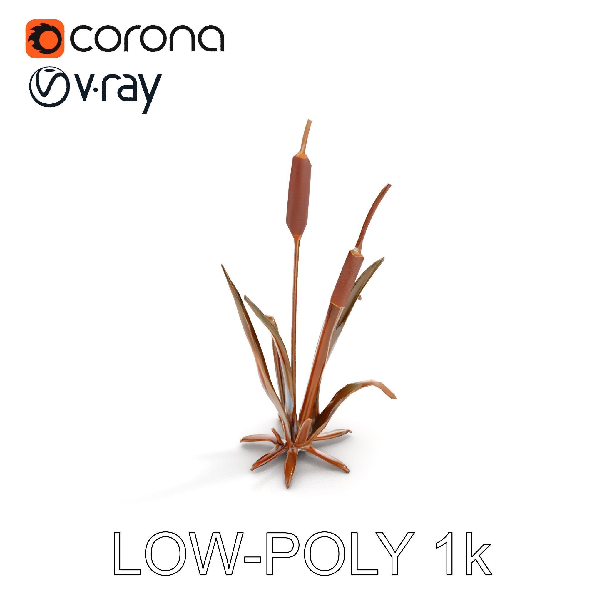 Reed Plant Model Pack for Realistic Environments Low-poly 3D model_11