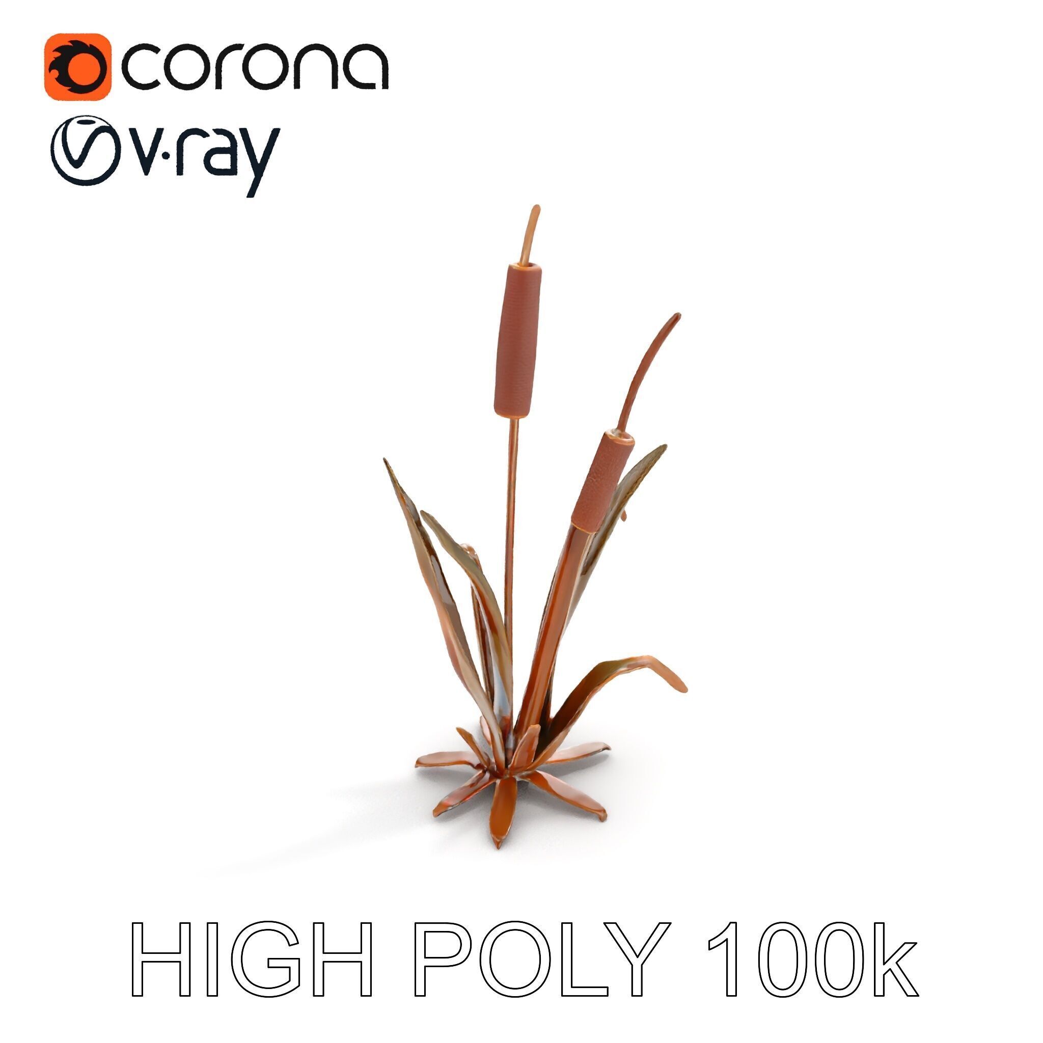 Reed Plant Model Pack for Realistic Environments Low-poly 3D model_18