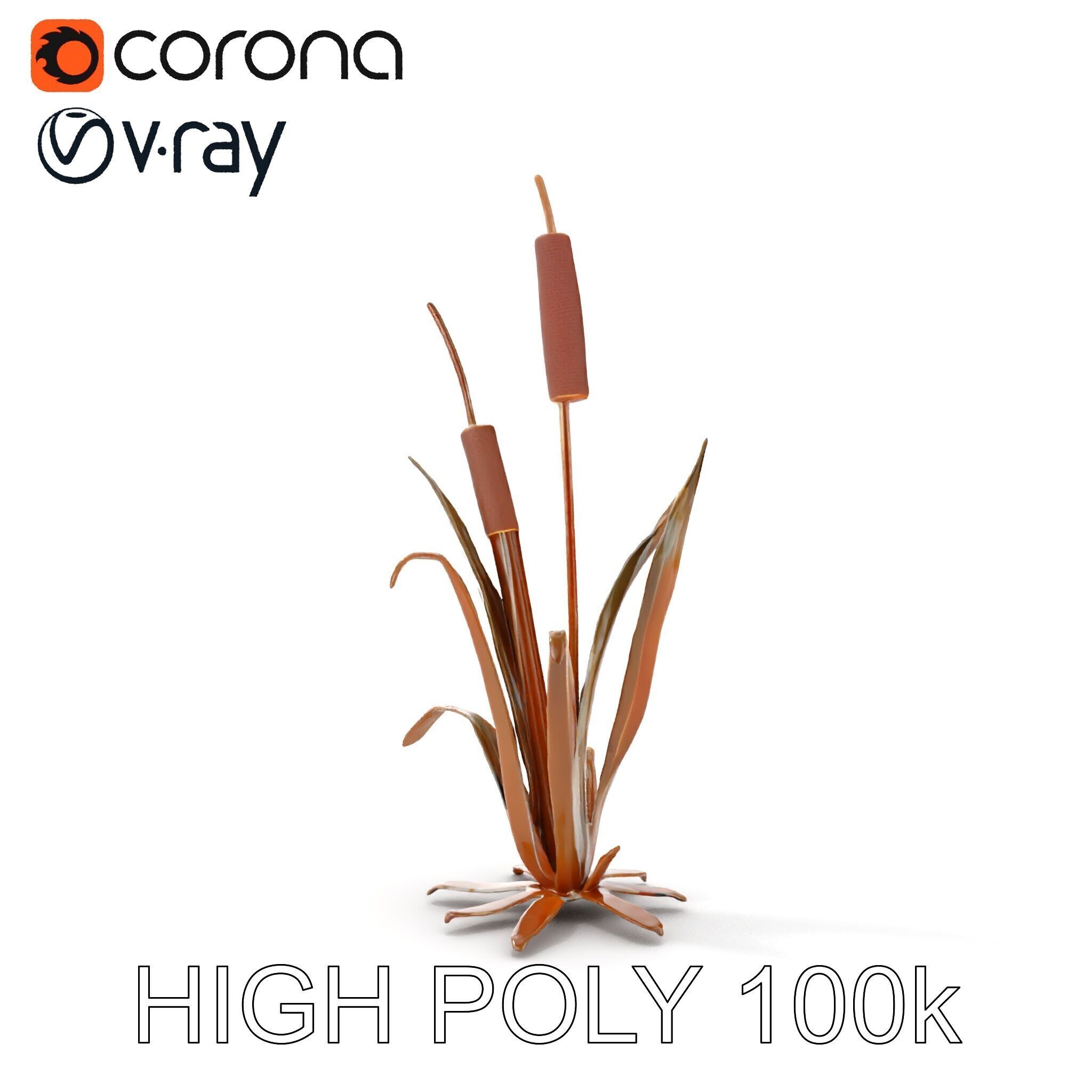 Reed Plant Model Pack for Realistic Environments Low-poly 3D model_27