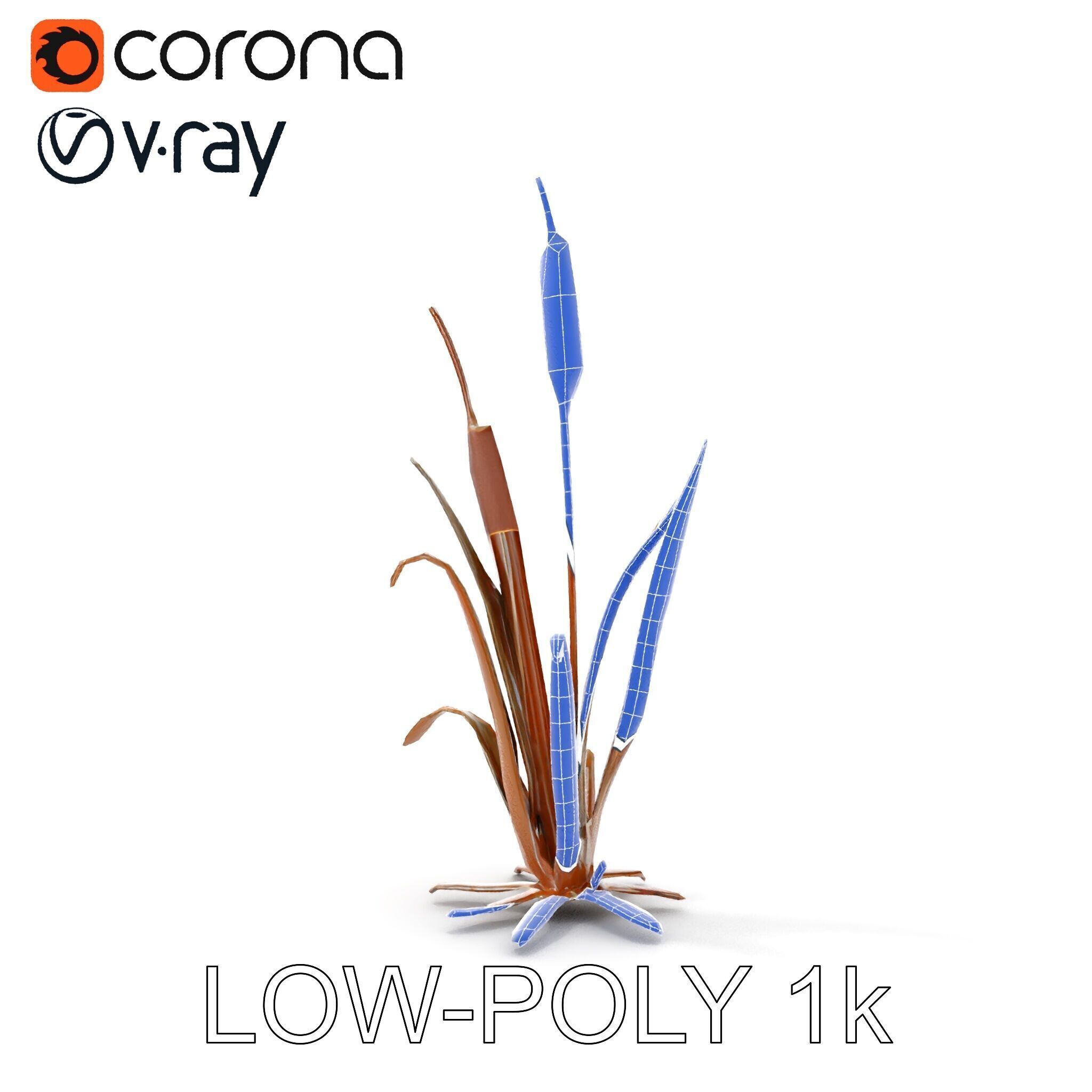 Reed Plant Model Pack for Realistic Environments Low-poly 3D model_32