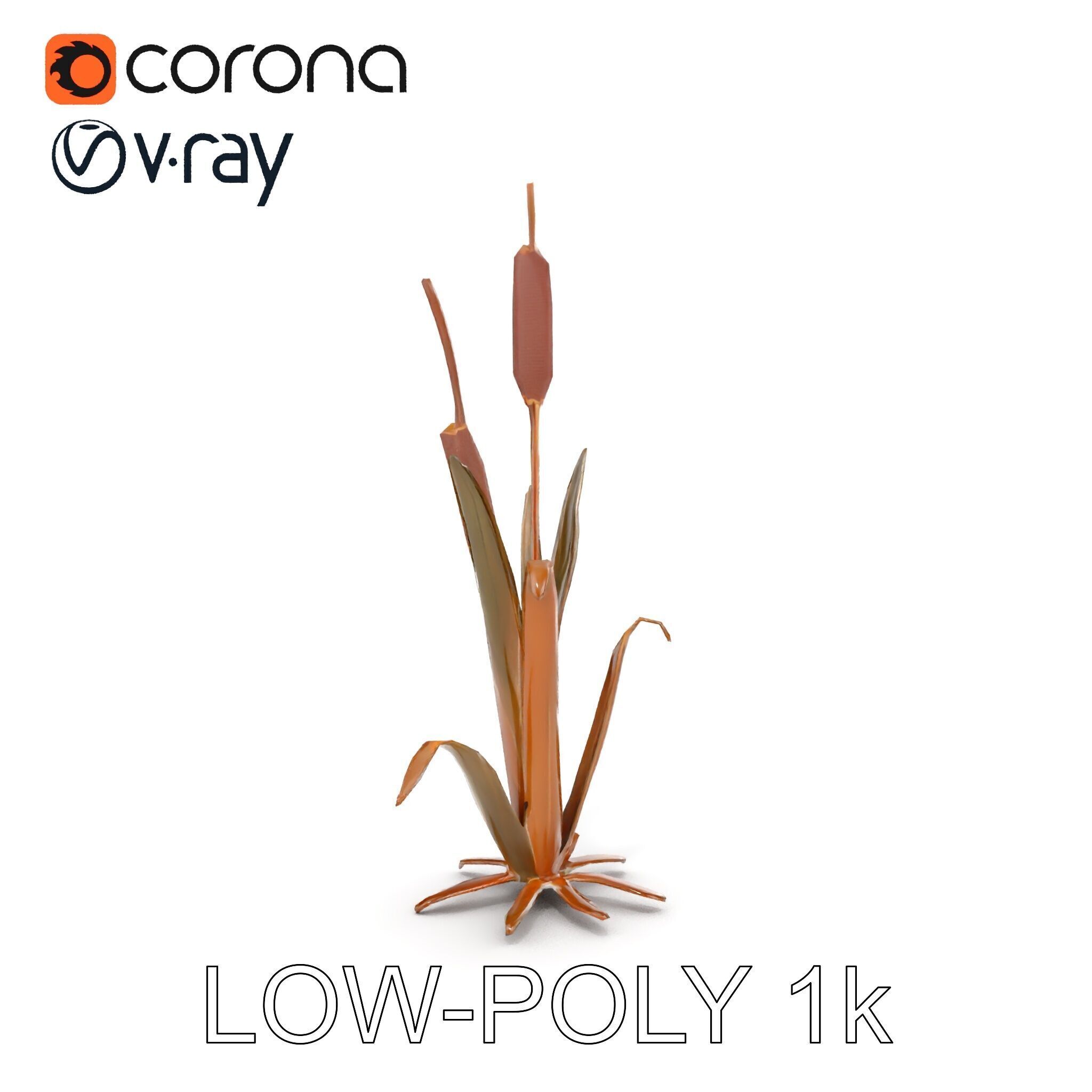 Reed Plant Model Pack for Realistic Environments Low-poly 3D model_26