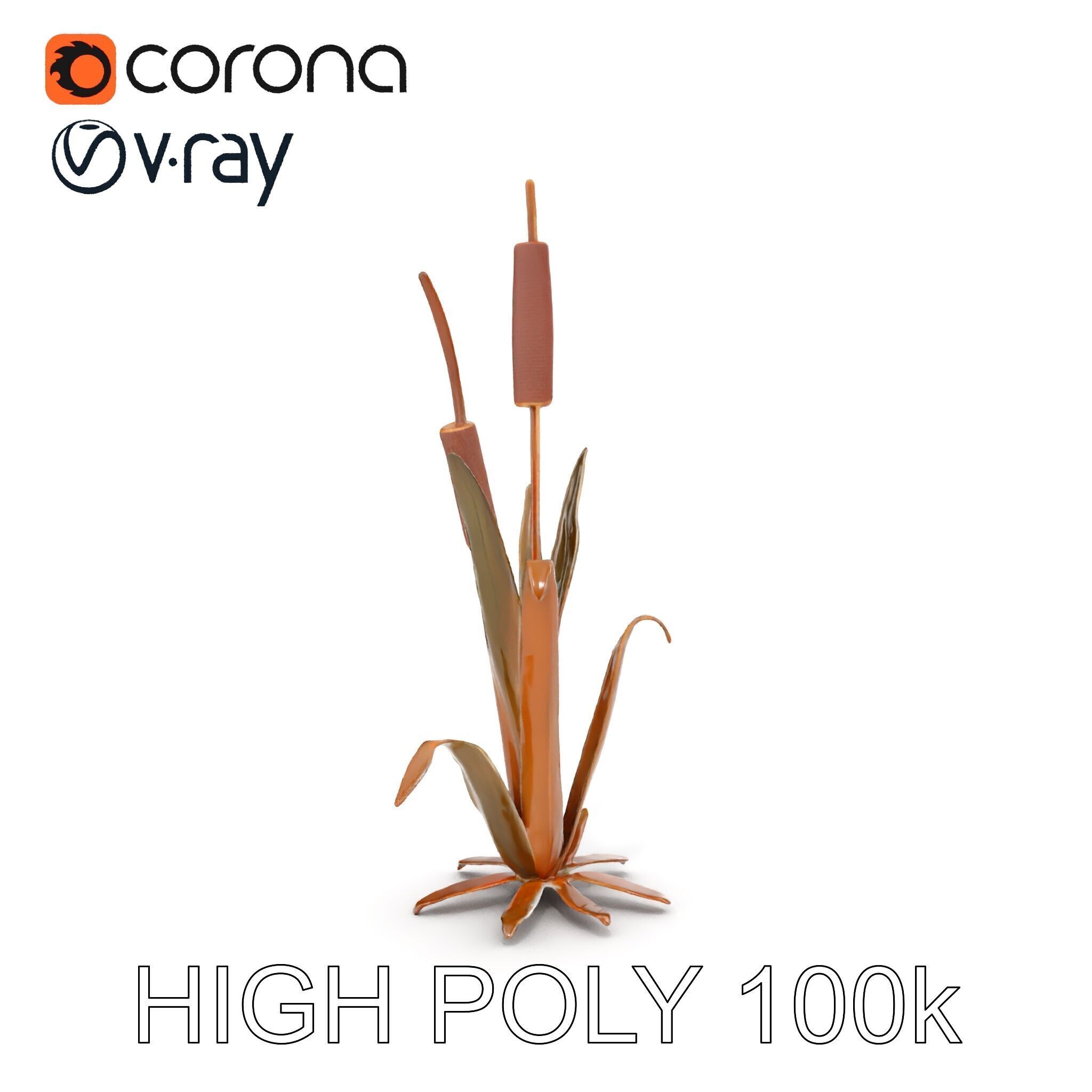 Reed Plant Model Pack for Realistic Environments Low-poly 3D model_30