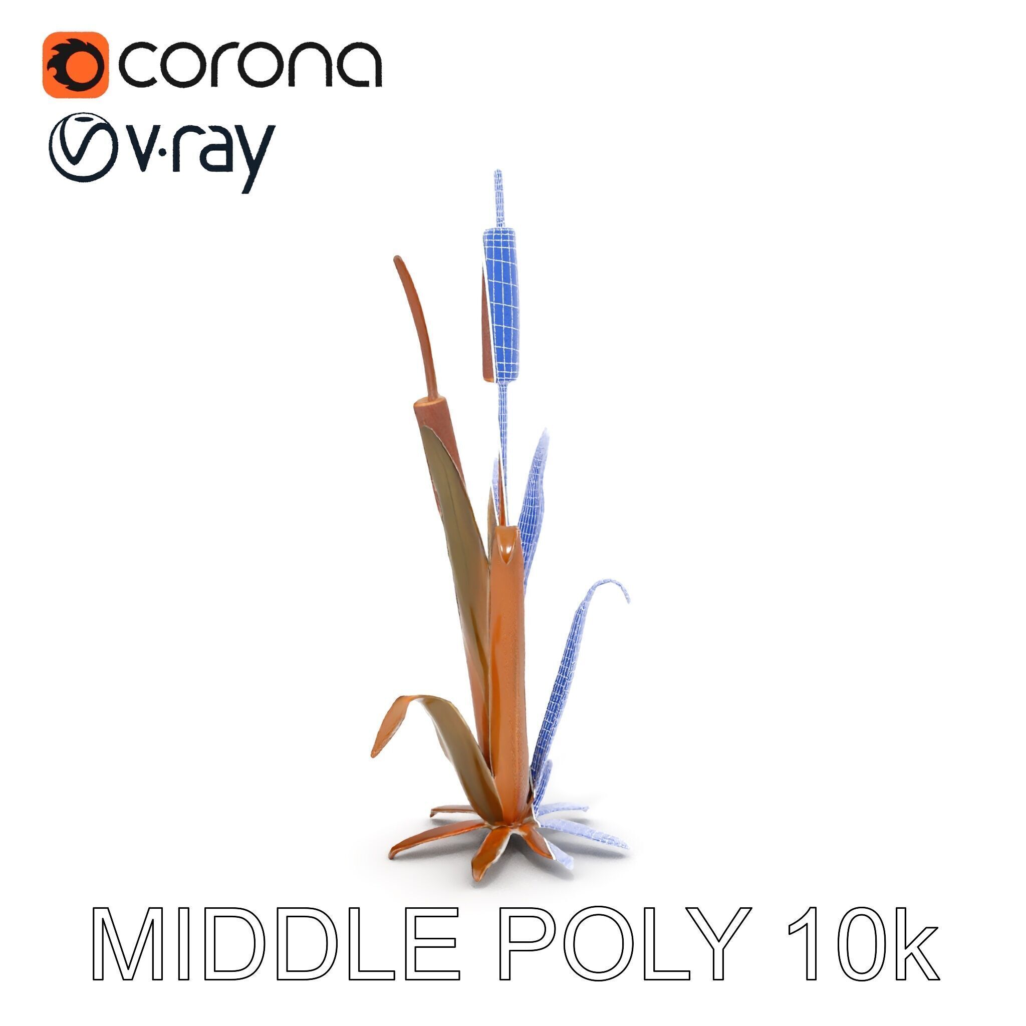 Reed Plant Model Pack for Realistic Environments Low-poly 3D model_25