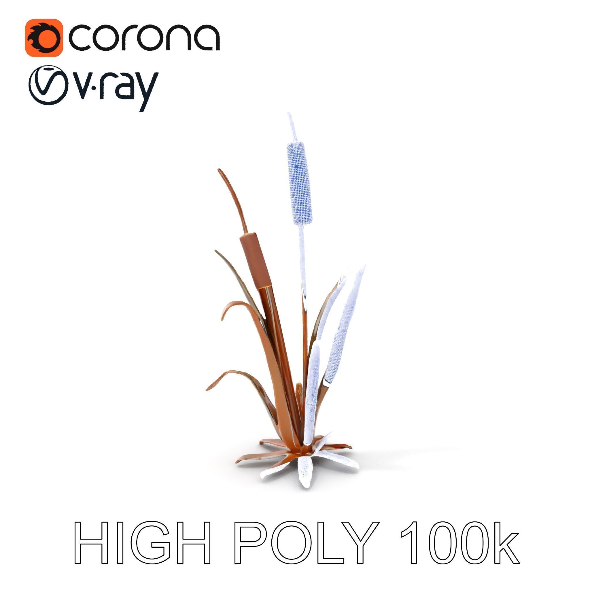 Reed Plant Model Pack for Realistic Environments Low-poly 3D model_4