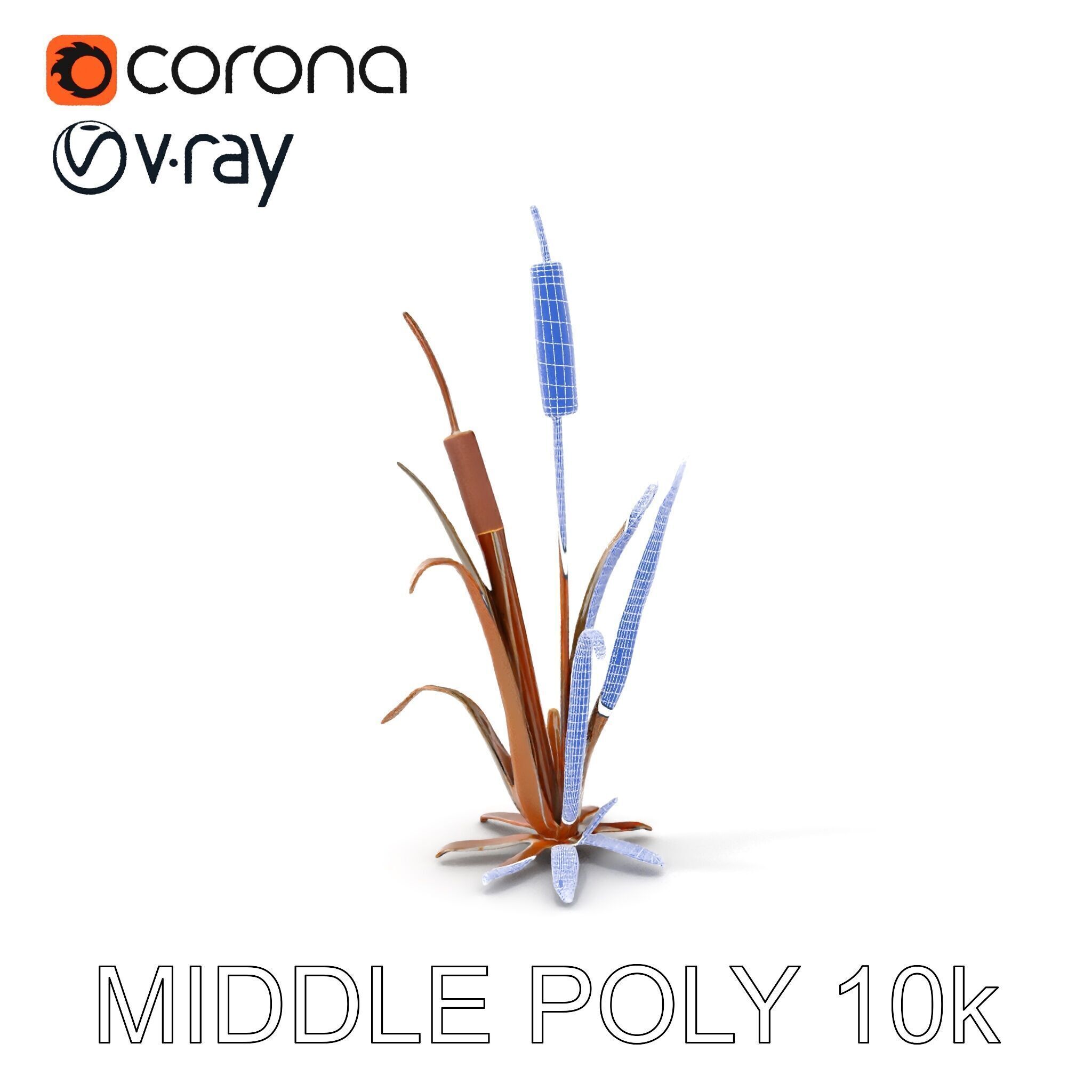 Reed Plant Model Pack for Realistic Environments Low-poly 3D model_22