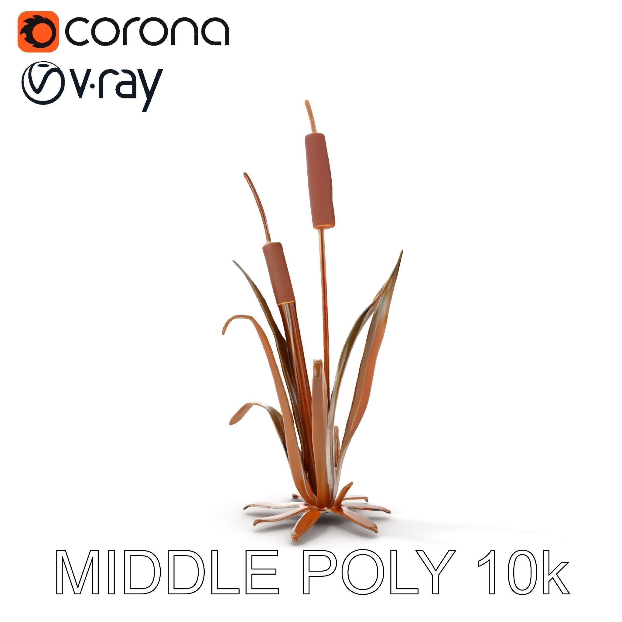 Reed Plant Model Pack for Realistic Environments Low-poly 3D model_8