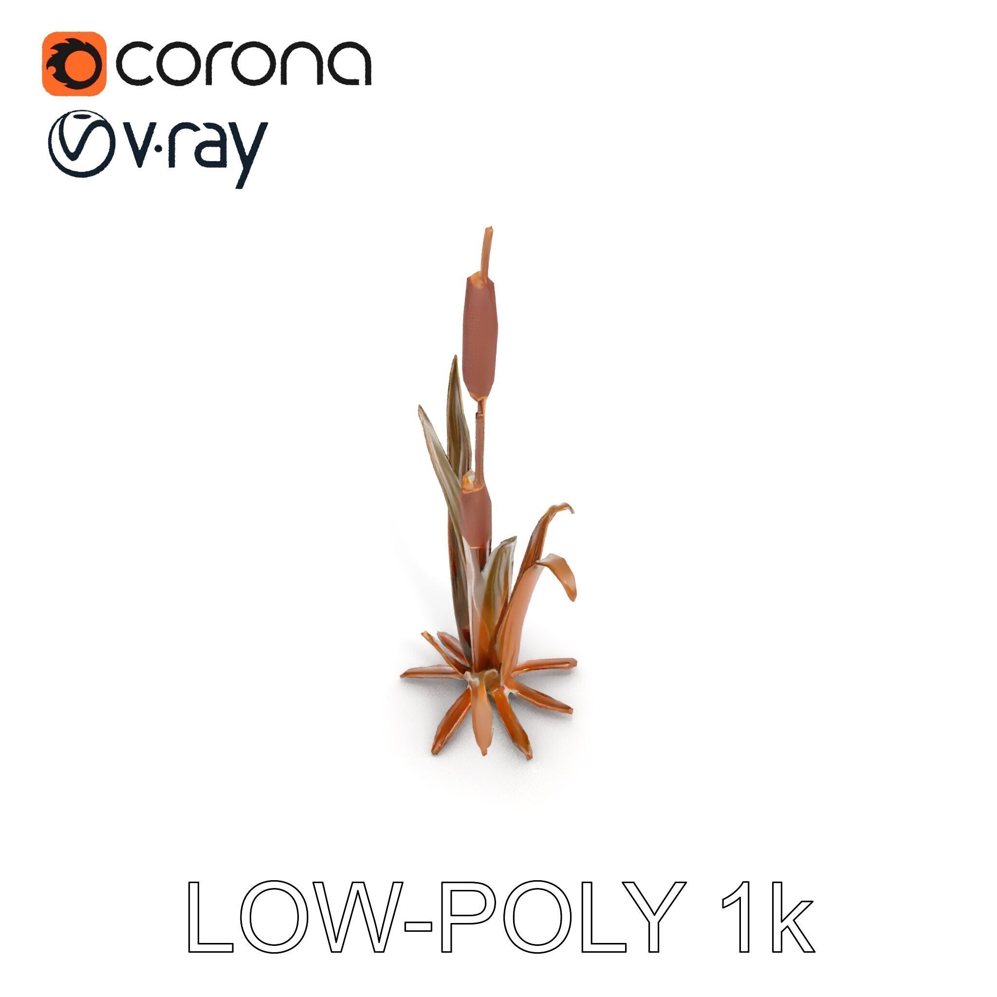 Reed Plant Model Pack for Realistic Environments Low-poly 3D model_23