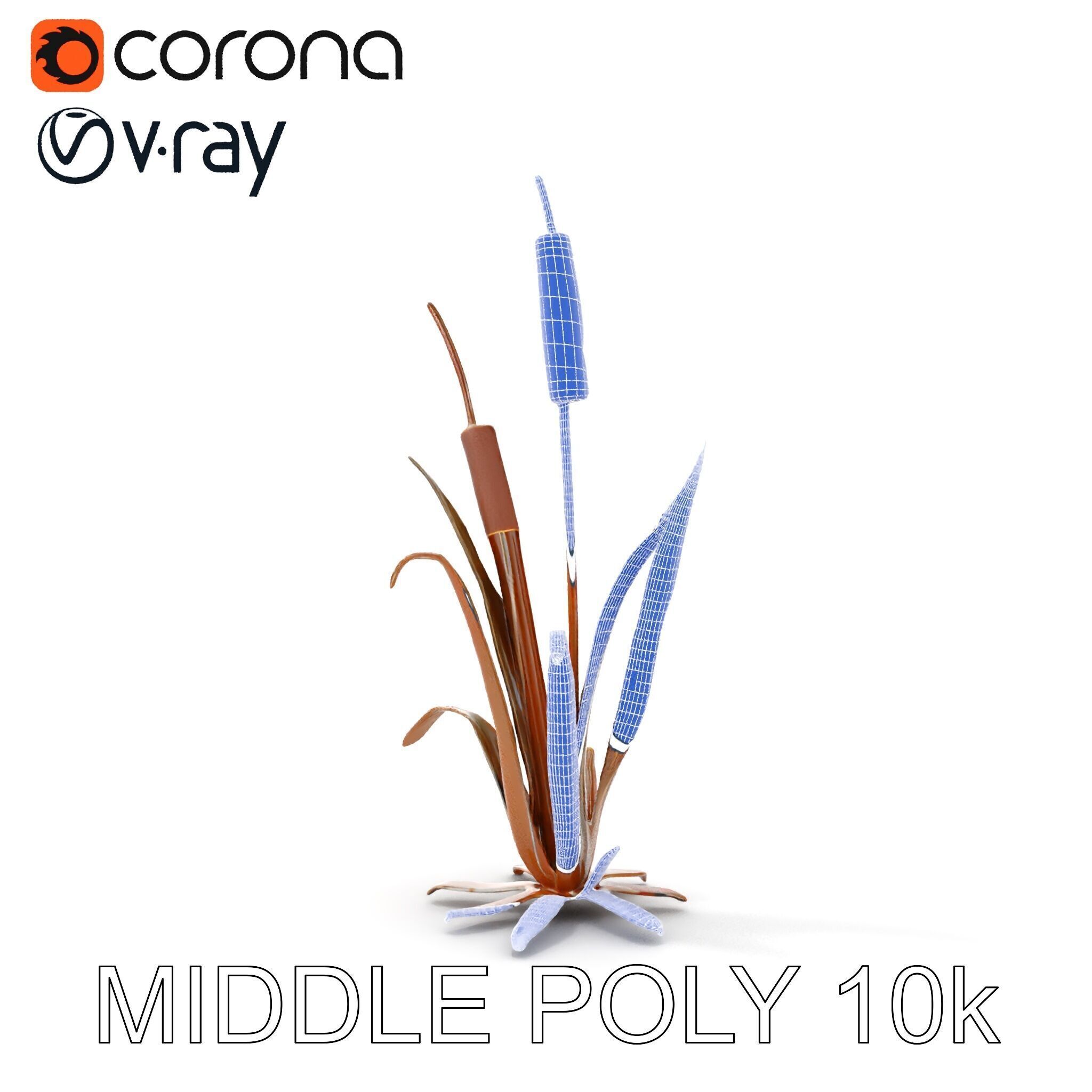 Reed Plant Model Pack for Realistic Environments Low-poly 3D model_31