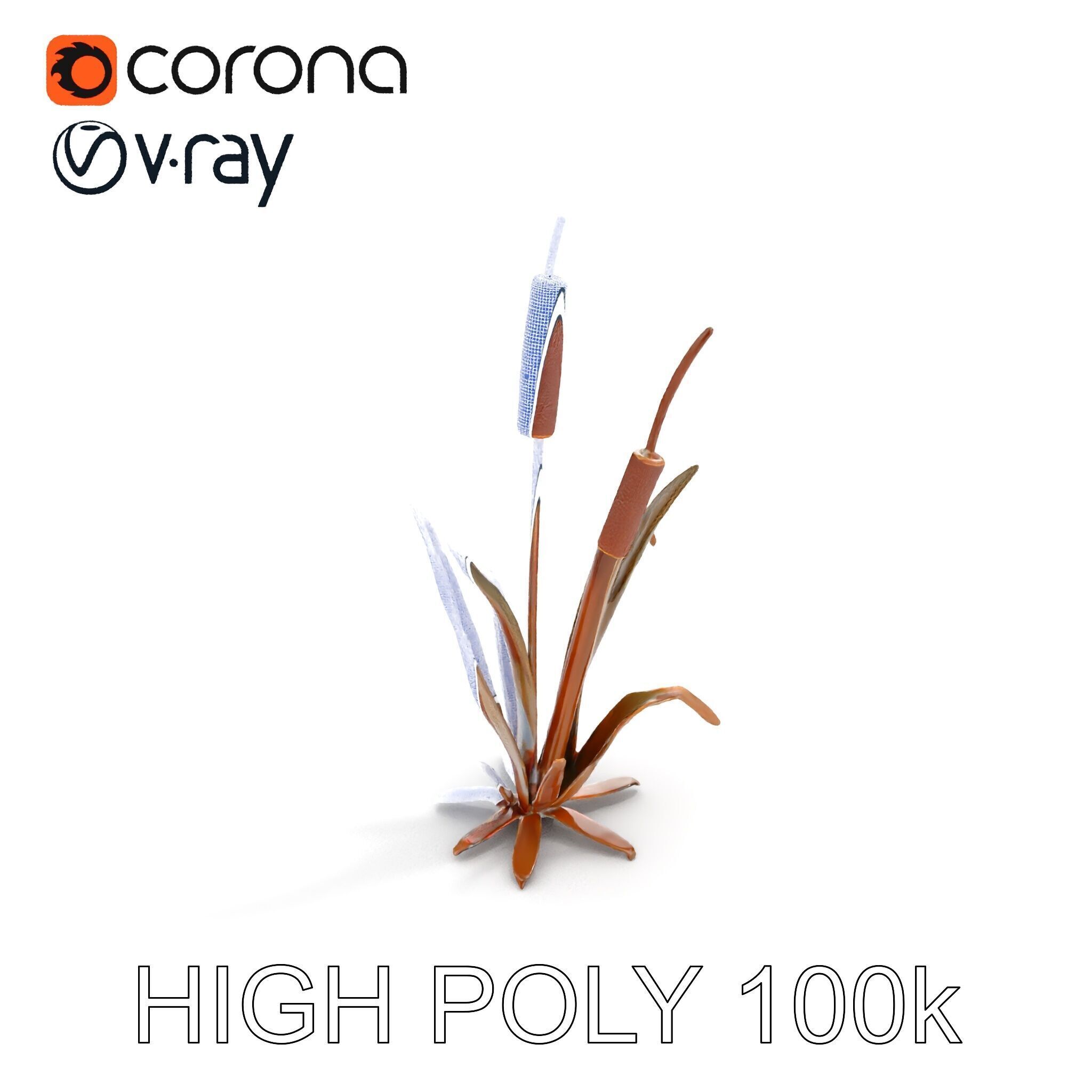 Reed Plant Model Pack for Realistic Environments Low-poly 3D model_21