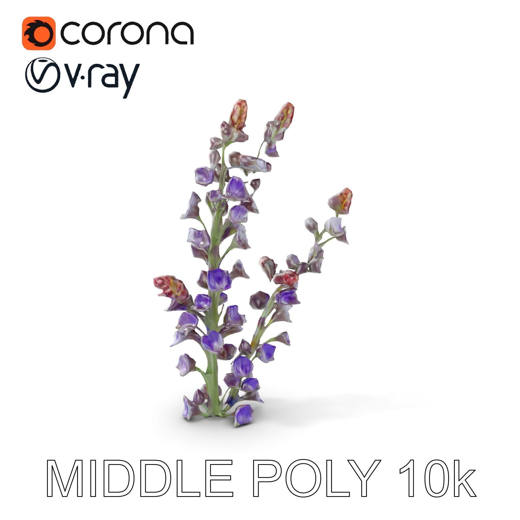 Lavender Flower Model Pack  Detailed PBR Textures Low-poly 3D model_13