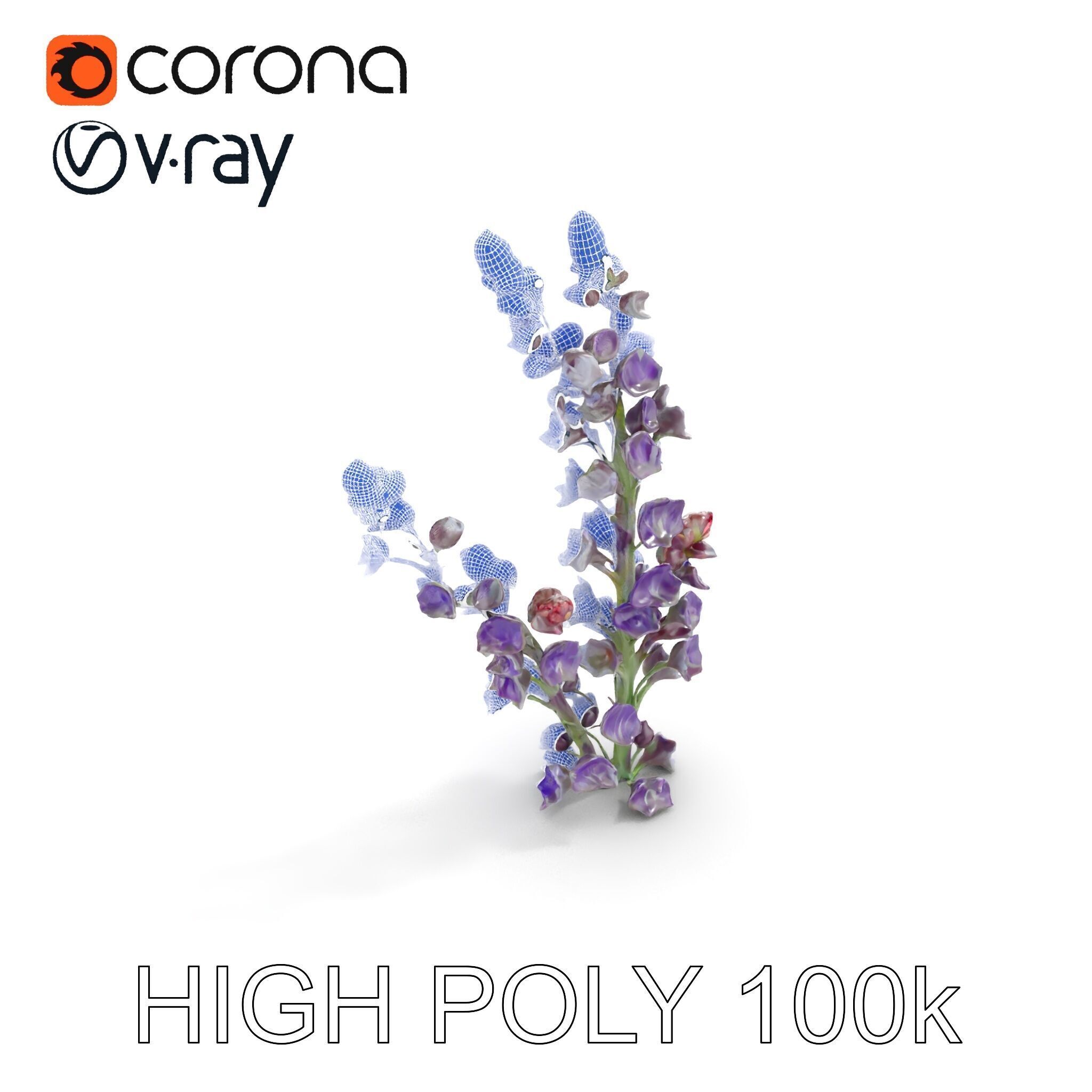 Lavender Flower Model Pack  Detailed PBR Textures Low-poly 3D model_29