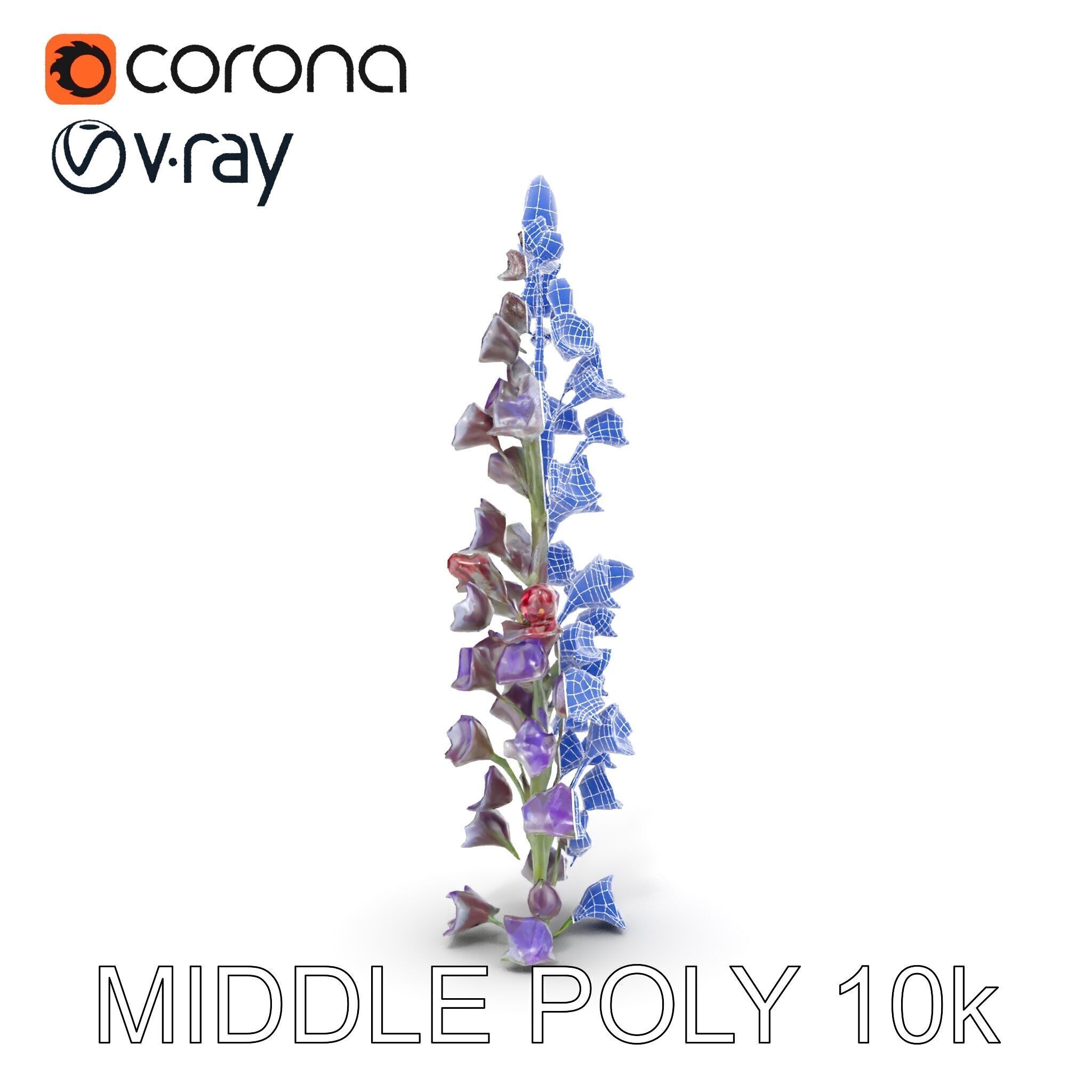 Lavender Flower Model Pack  Detailed PBR Textures Low-poly 3D model_16