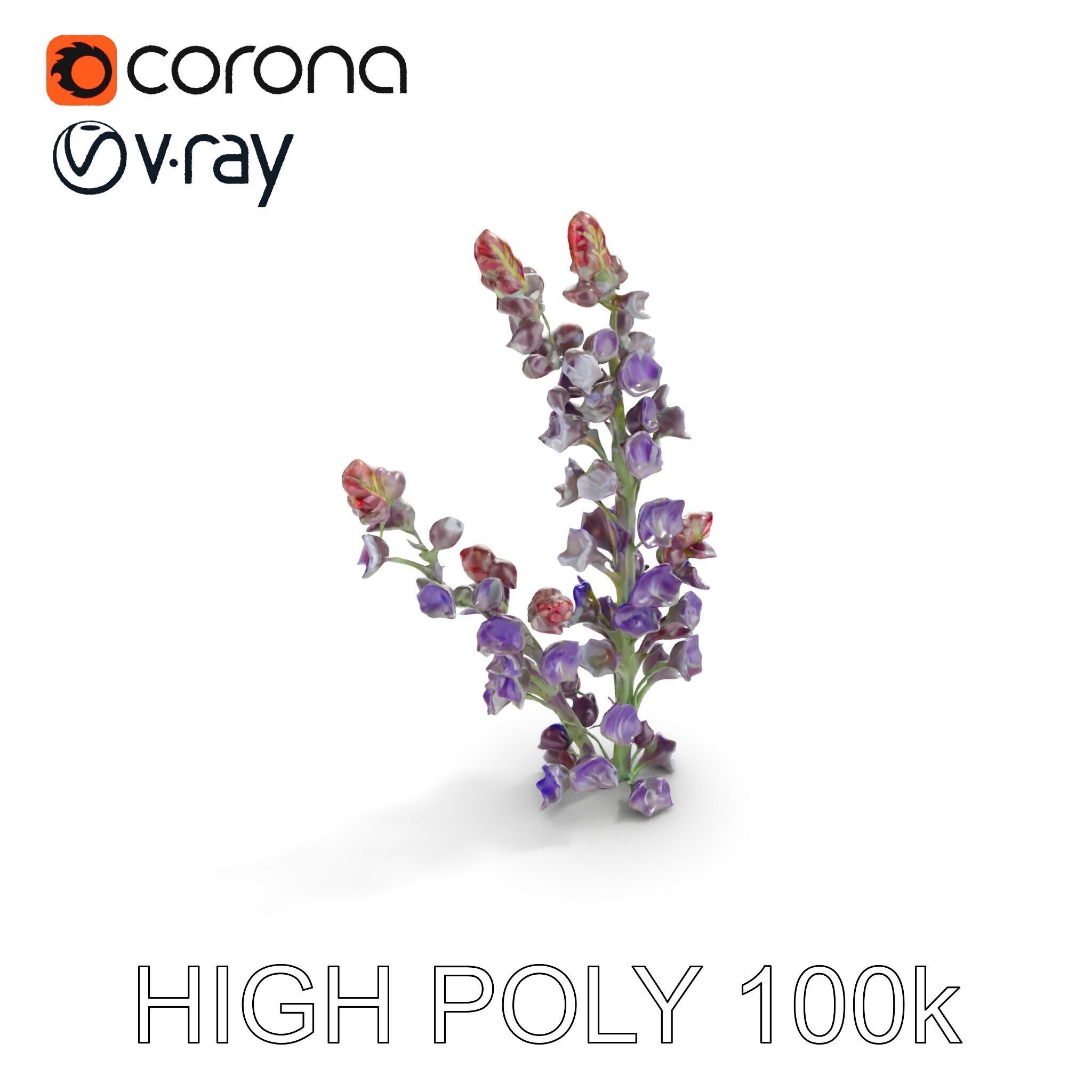Lavender Flower Model Pack  Detailed PBR Textures Low-poly 3D model_12