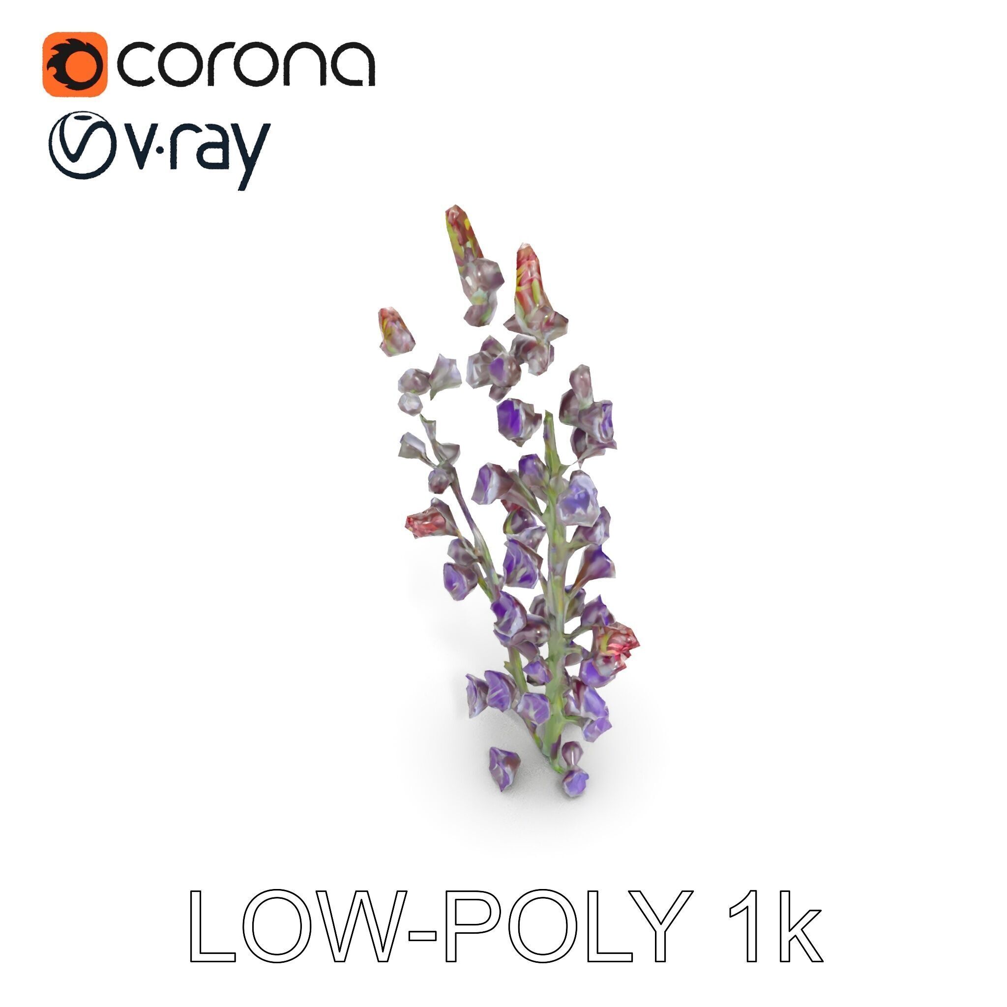 Lavender Flower Model Pack  Detailed PBR Textures Low-poly 3D model_7