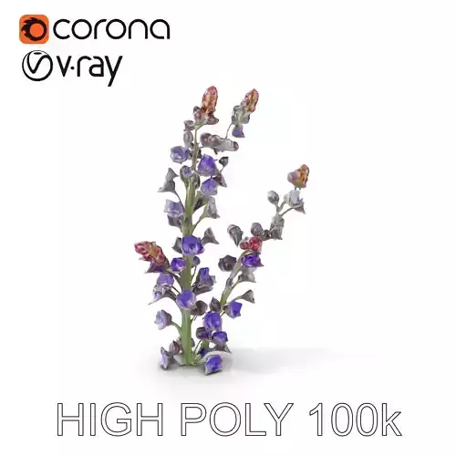Lavender Flower Model Pack  Detailed PBR Textures Low-poly 3D model