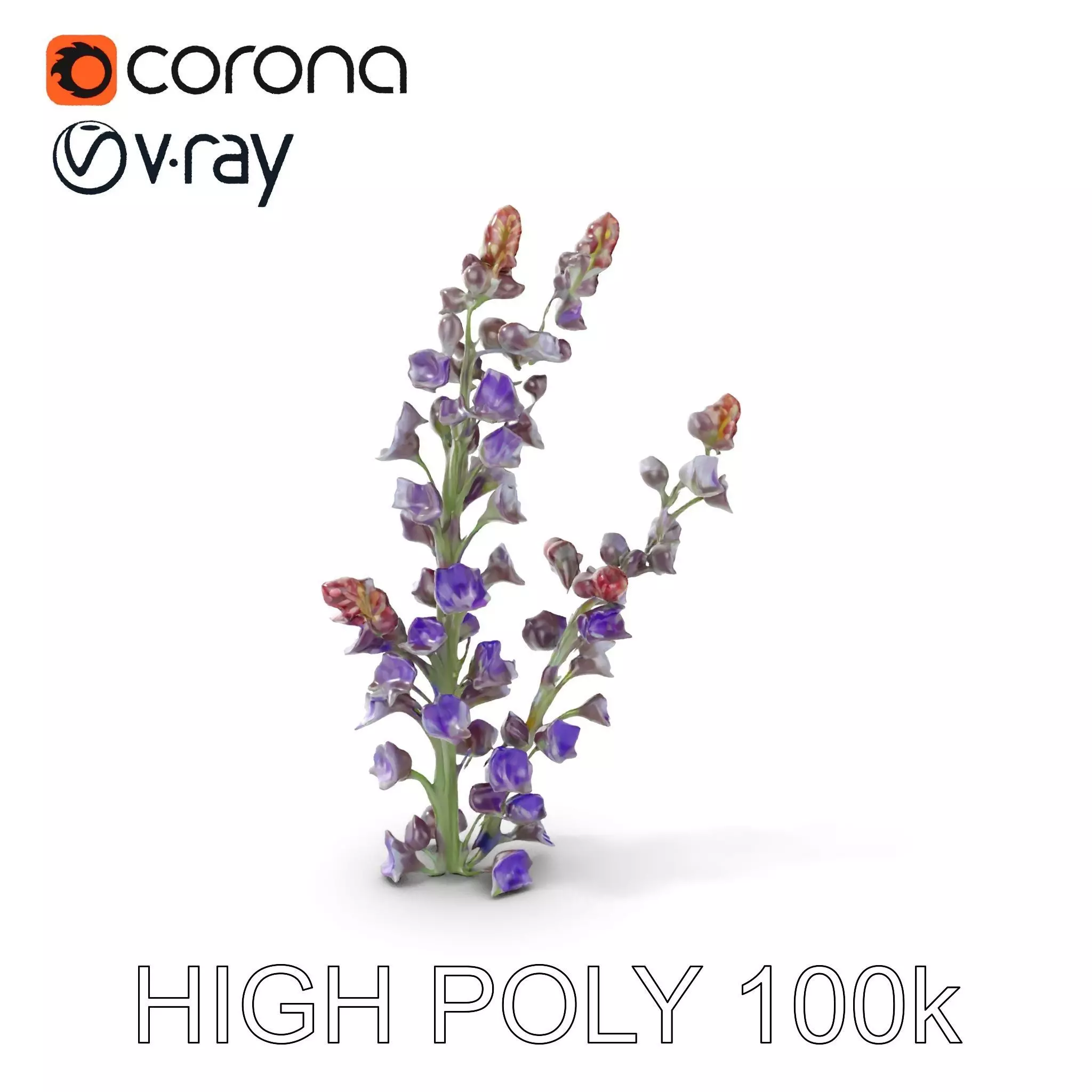 Lavender Flower Model Pack  Detailed PBR Textures Low-poly 3D model_0