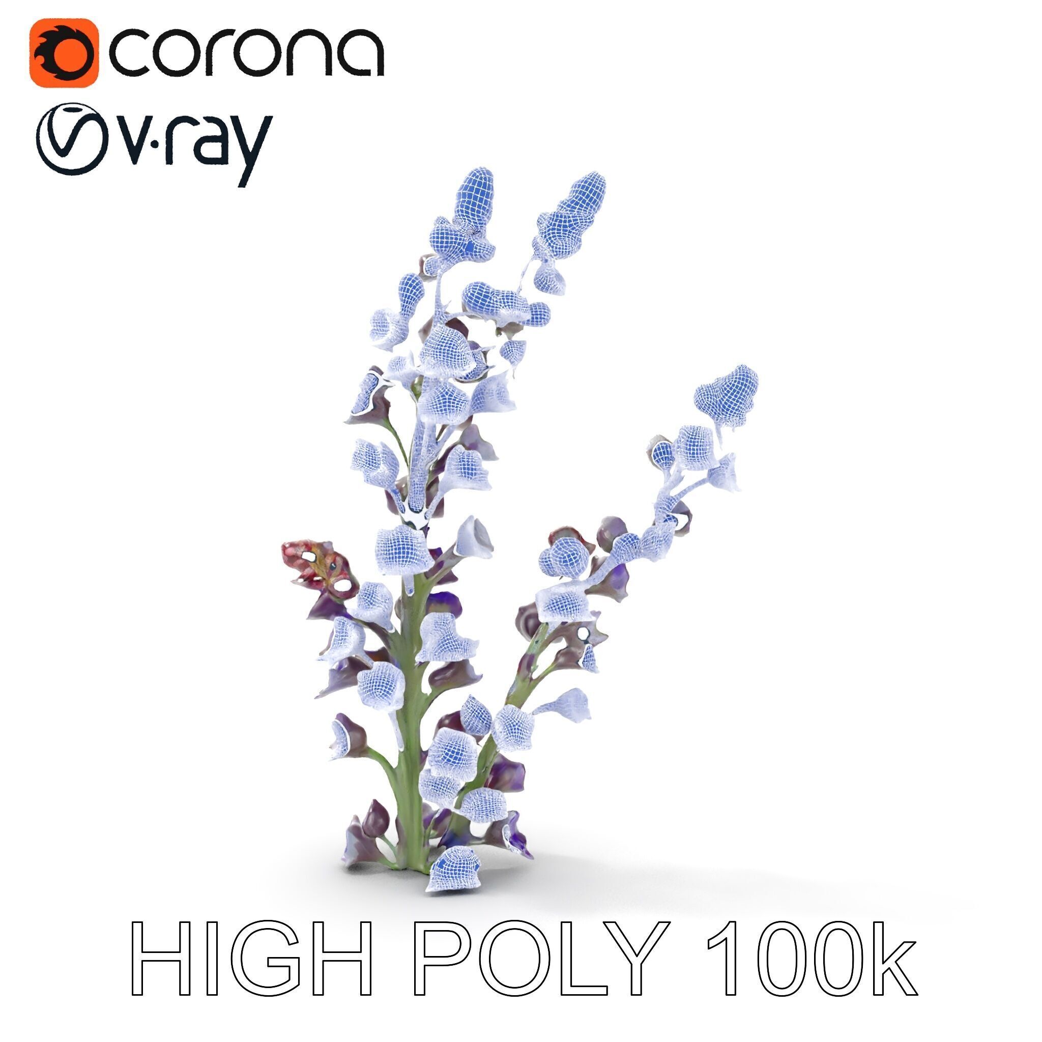 Lavender Flower Model Pack  Detailed PBR Textures Low-poly 3D model_35