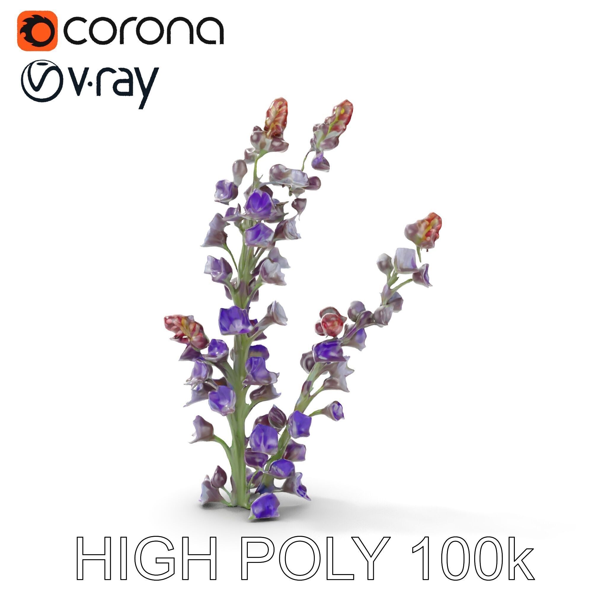 Lavender Flower Model Pack  Detailed PBR Textures Low-poly 3D model_18