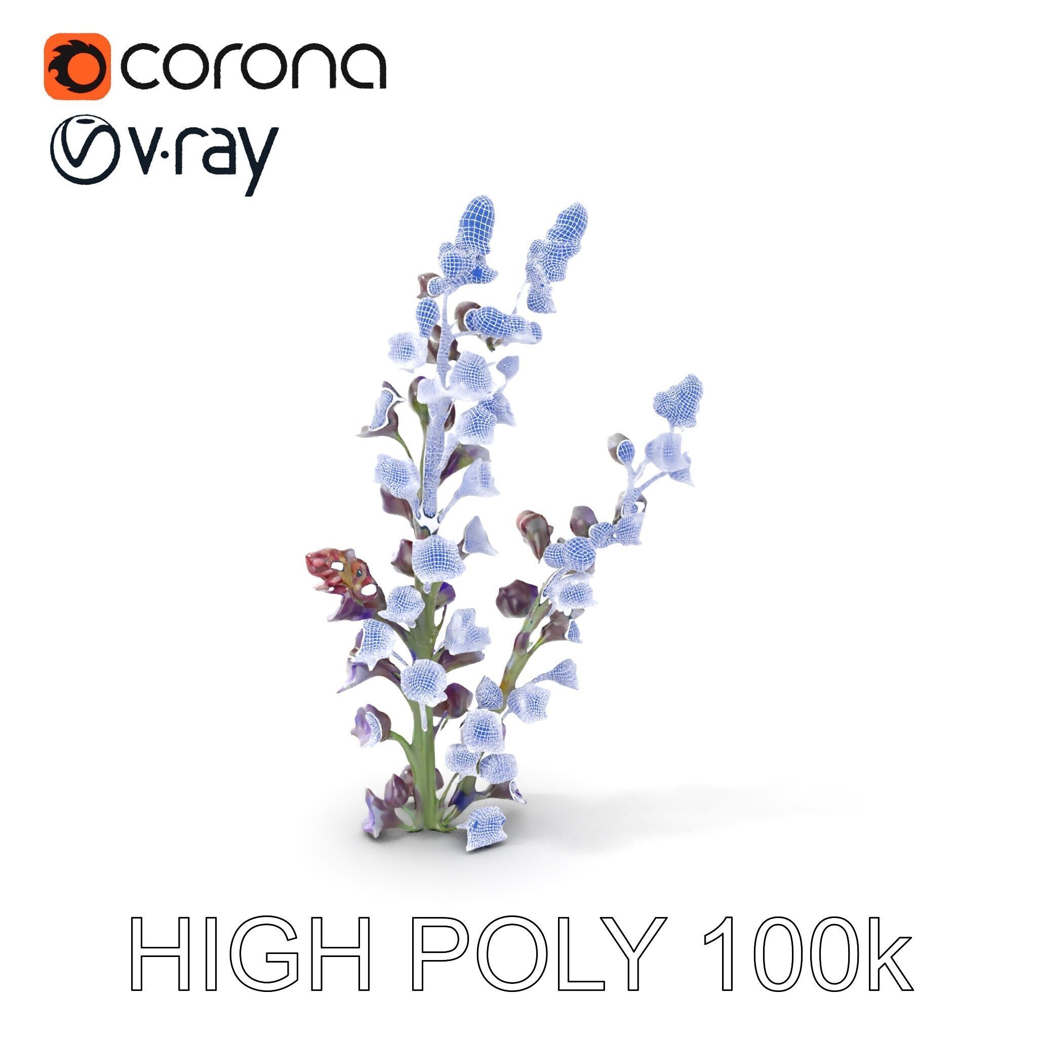 Lavender Flower Model Pack  Detailed PBR Textures Low-poly 3D model_4
