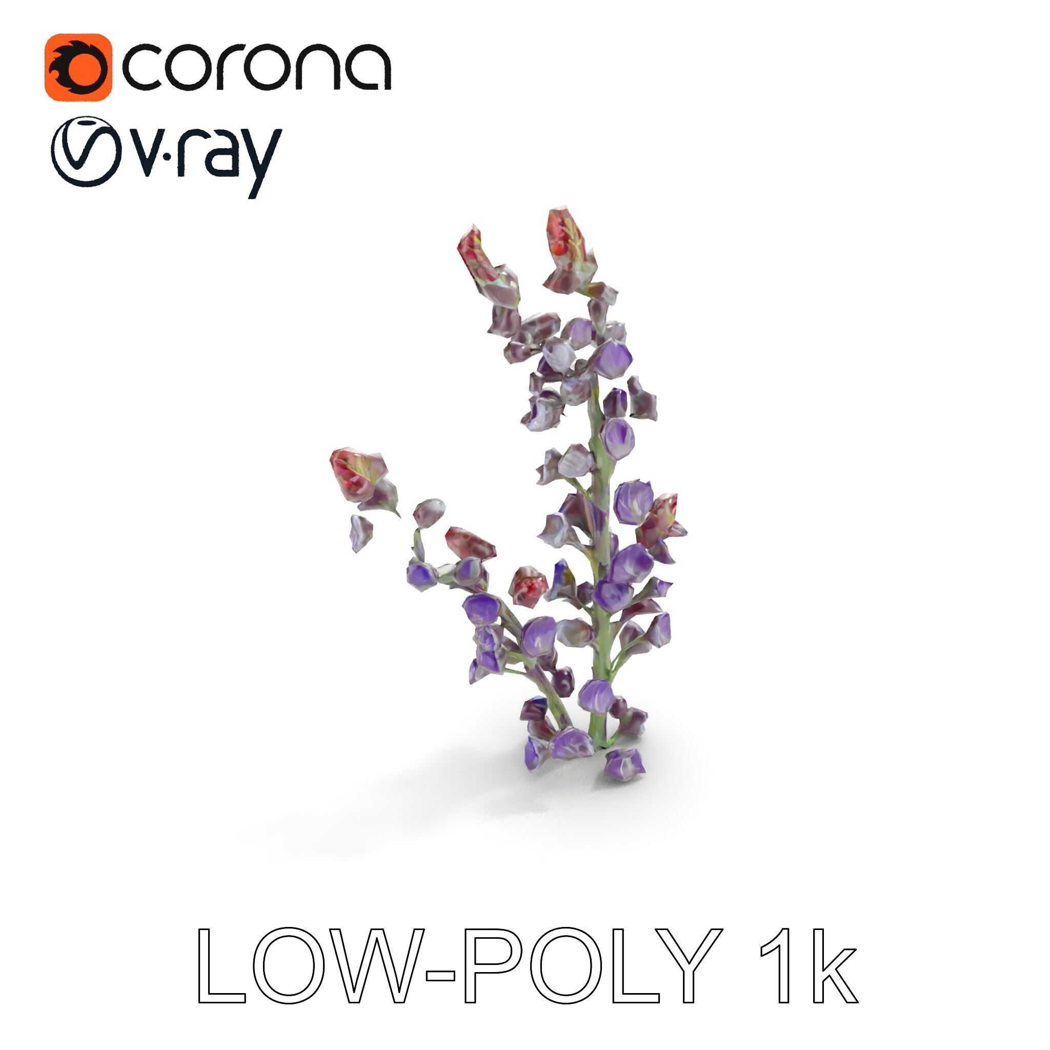 Lavender Flower Model Pack  Detailed PBR Textures Low-poly 3D model_9