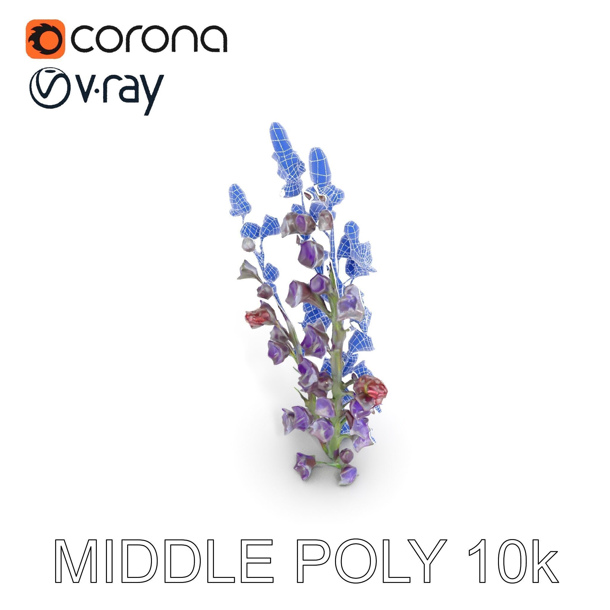 Lavender Flower Model Pack  Detailed PBR Textures Low-poly 3D model_22