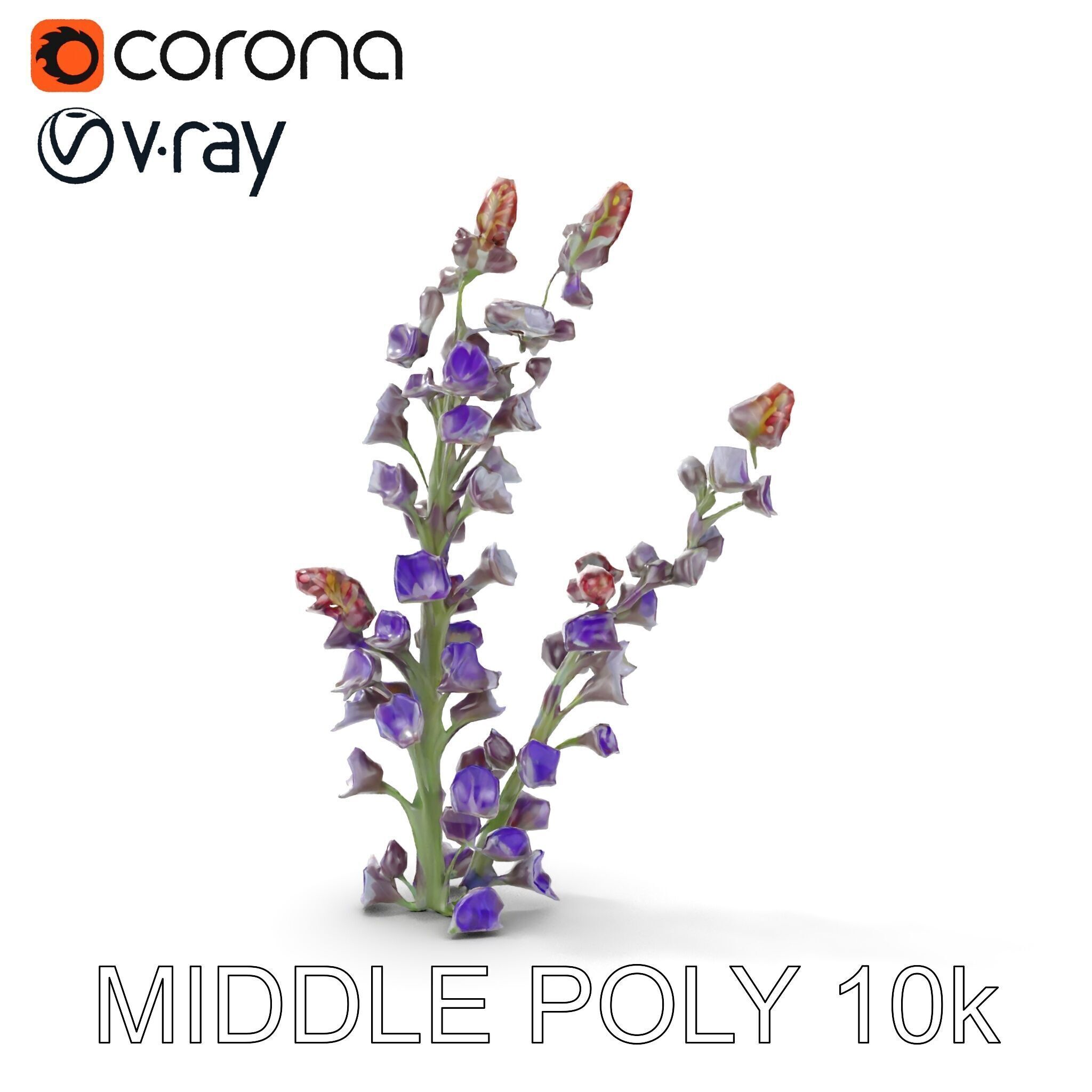 Lavender Flower Model Pack  Detailed PBR Textures Low-poly 3D model_10