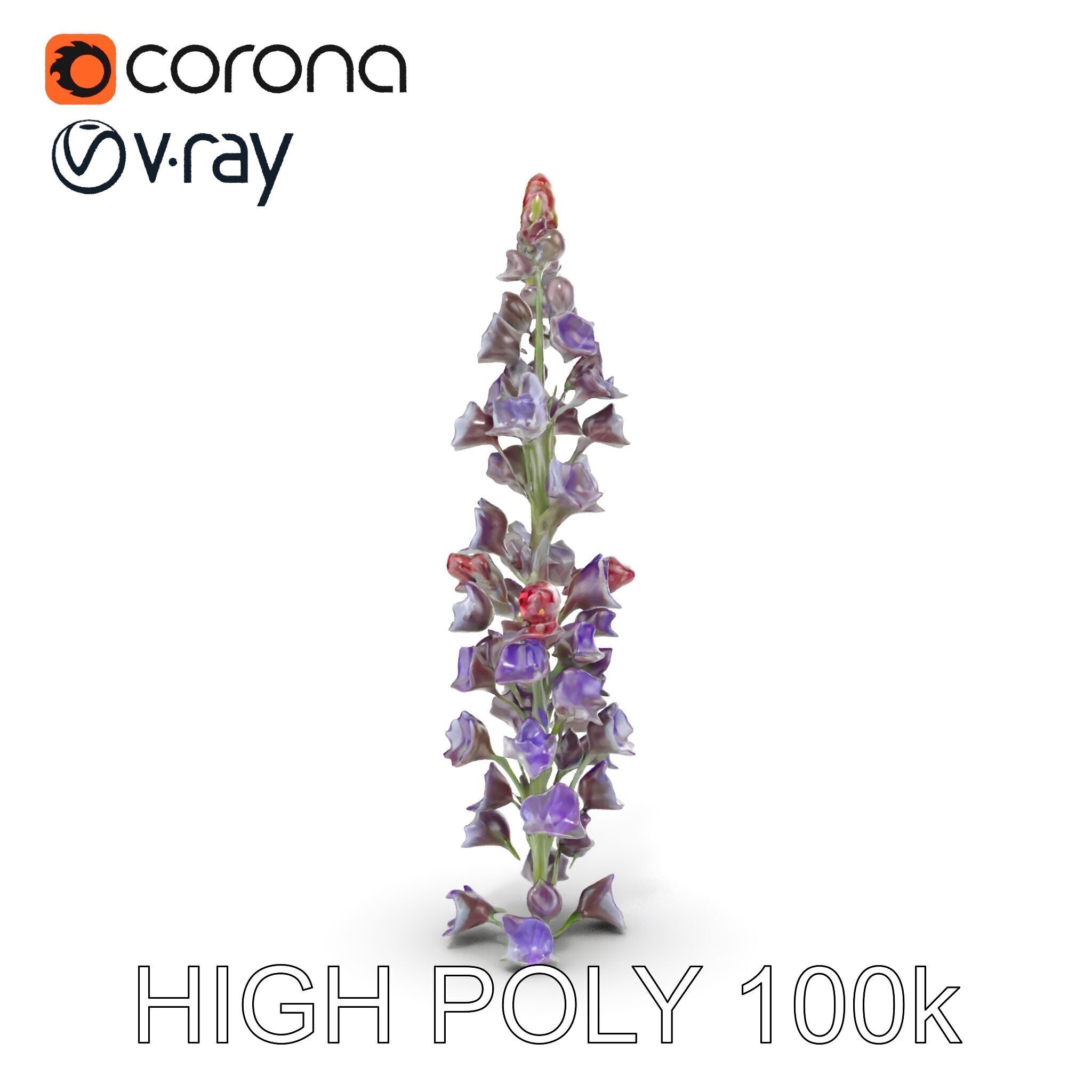 Lavender Flower Model Pack  Detailed PBR Textures Low-poly 3D model_21