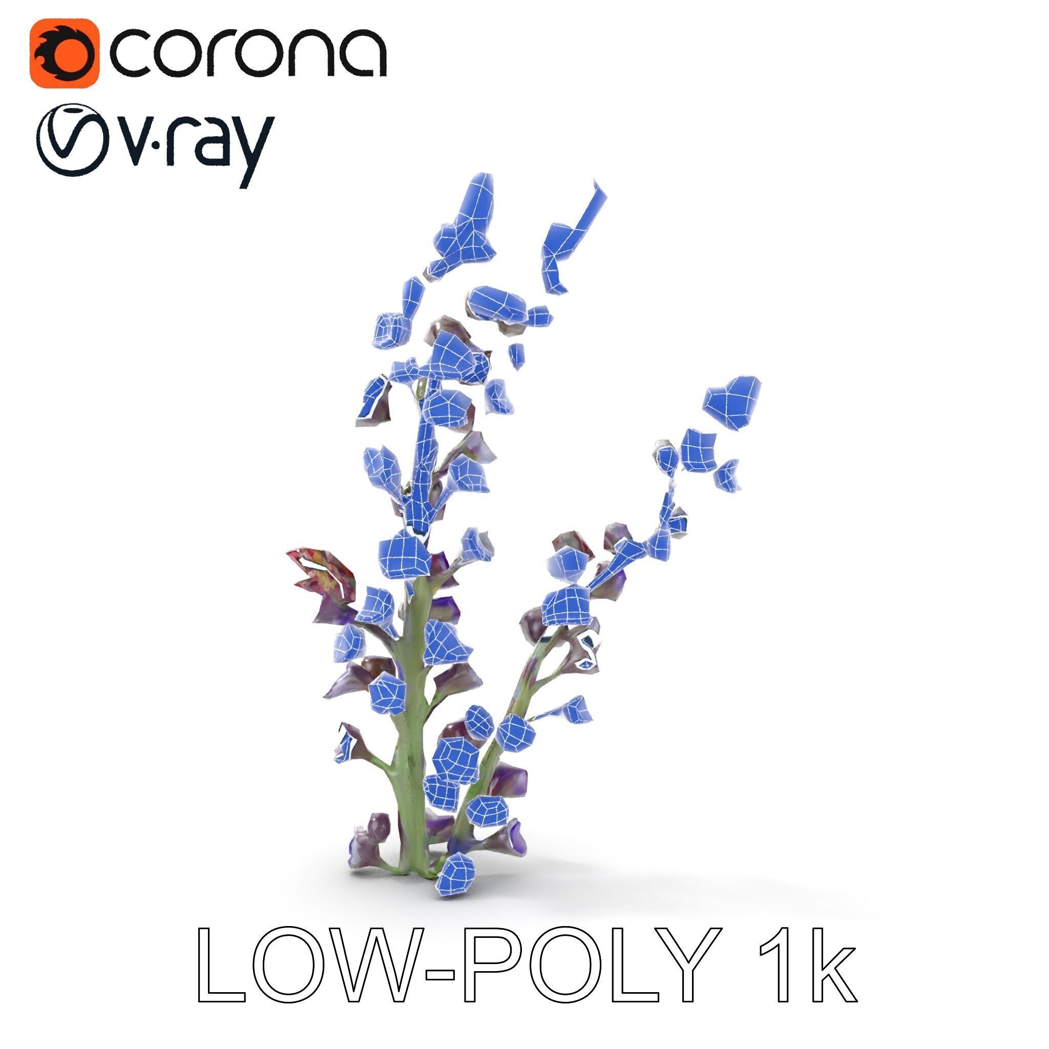 Lavender Flower Model Pack  Detailed PBR Textures Low-poly 3D model_28
