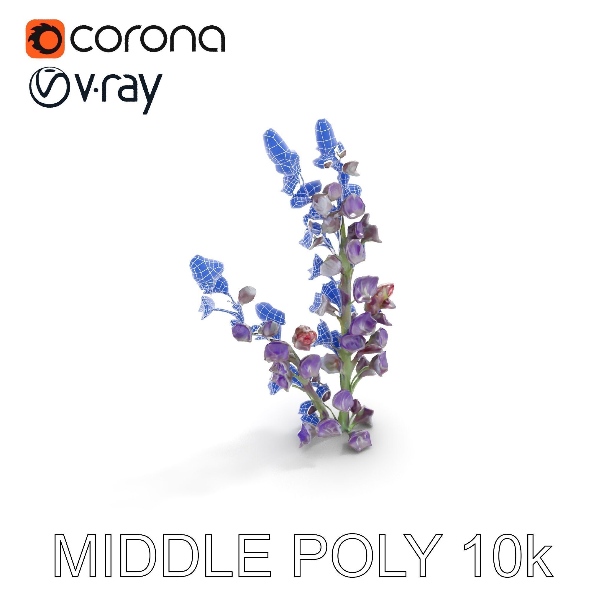 Lavender Flower Model Pack  Detailed PBR Textures Low-poly 3D model_19