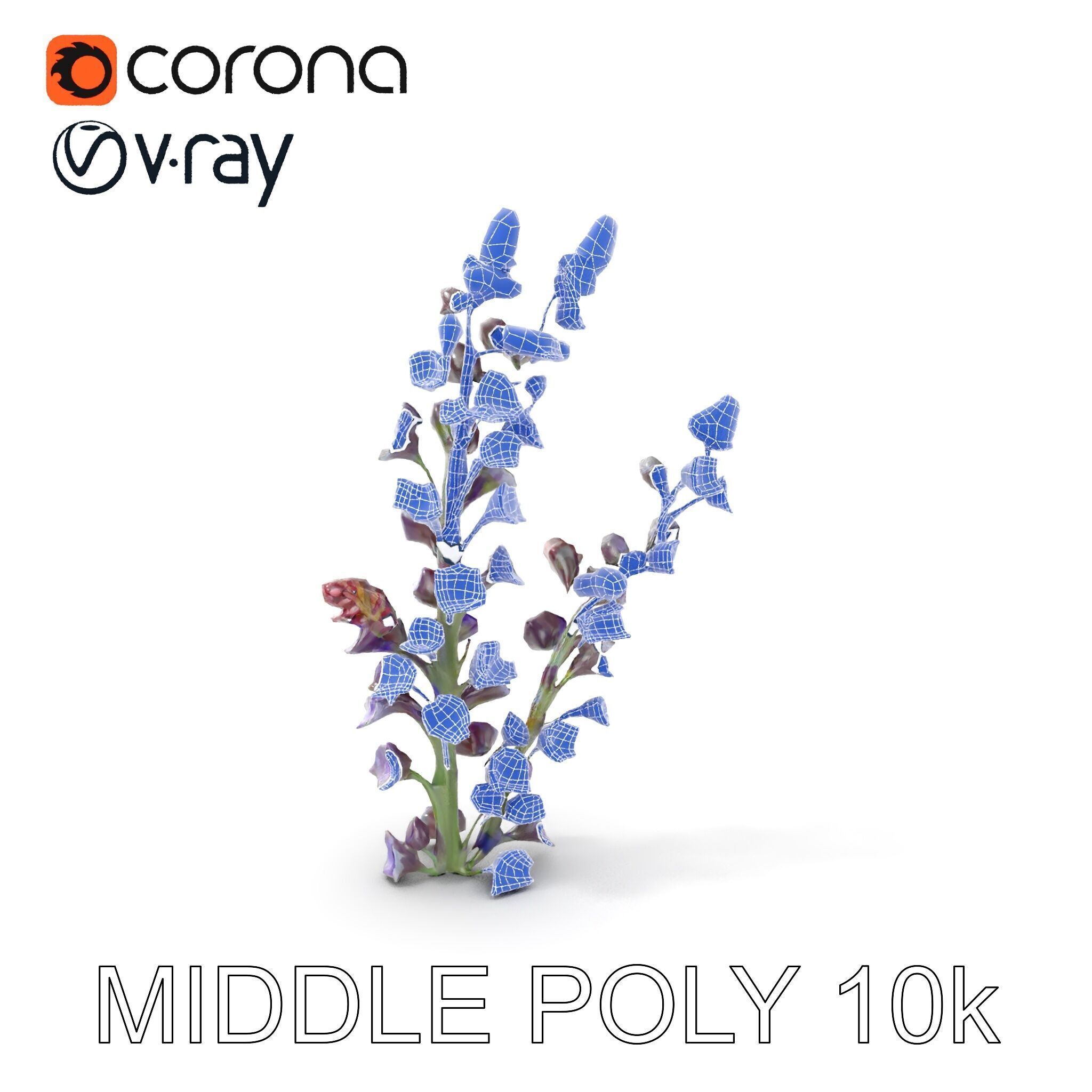 Lavender Flower Model Pack  Detailed PBR Textures Low-poly 3D model_30