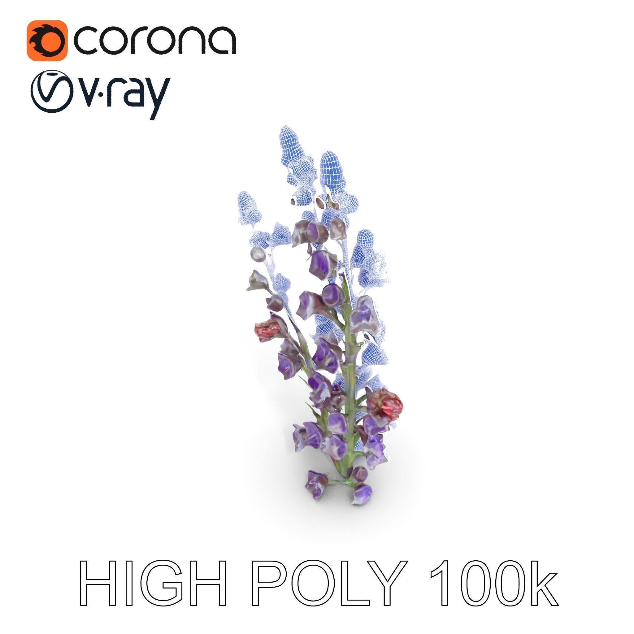 Lavender Flower Model Pack  Detailed PBR Textures Low-poly 3D model_32