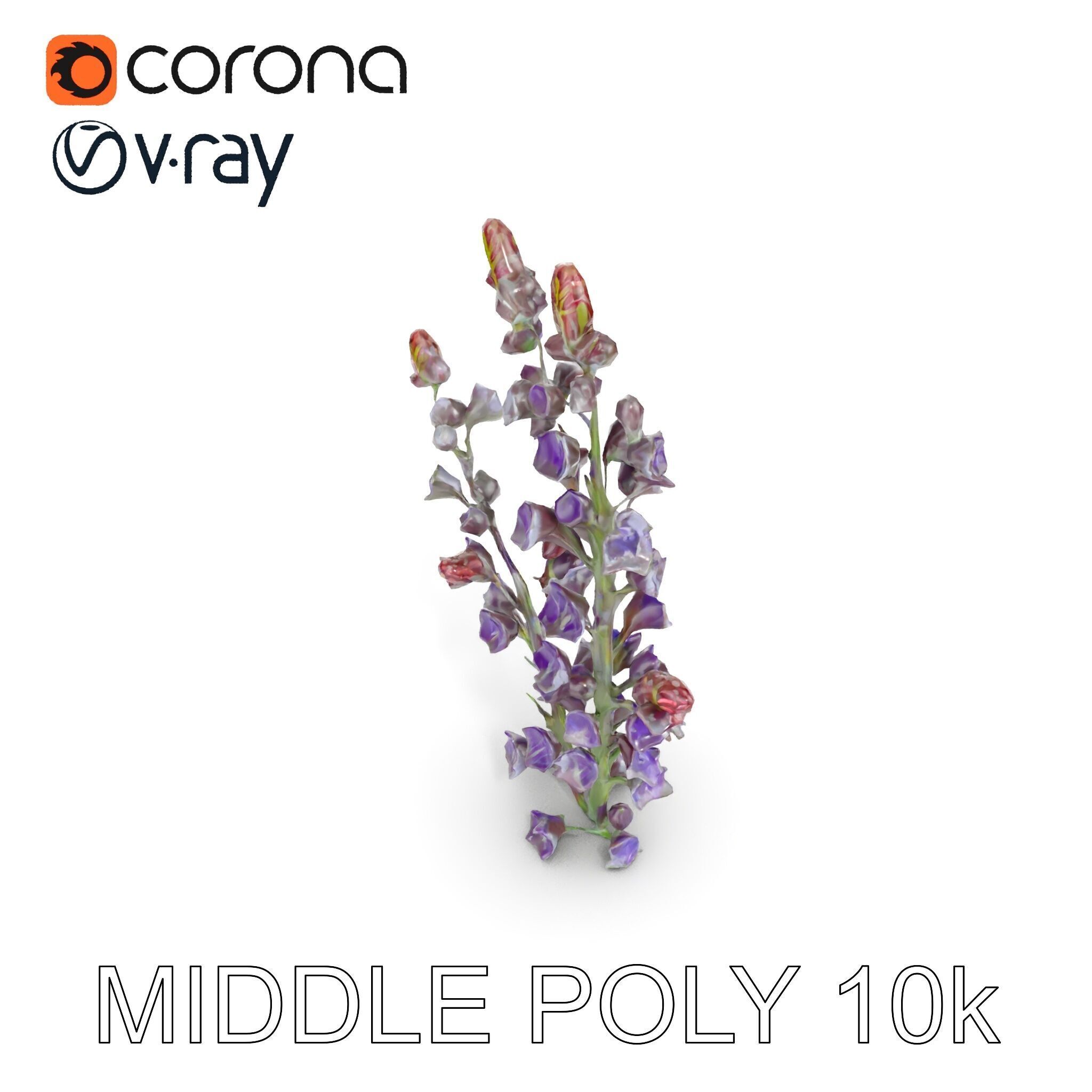Lavender Flower Model Pack  Detailed PBR Textures Low-poly 3D model_6