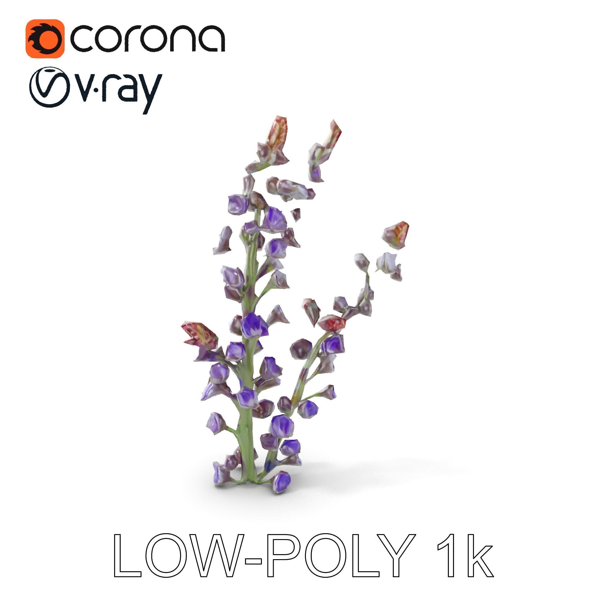 Lavender Flower Model Pack  Detailed PBR Textures Low-poly 3D model_17