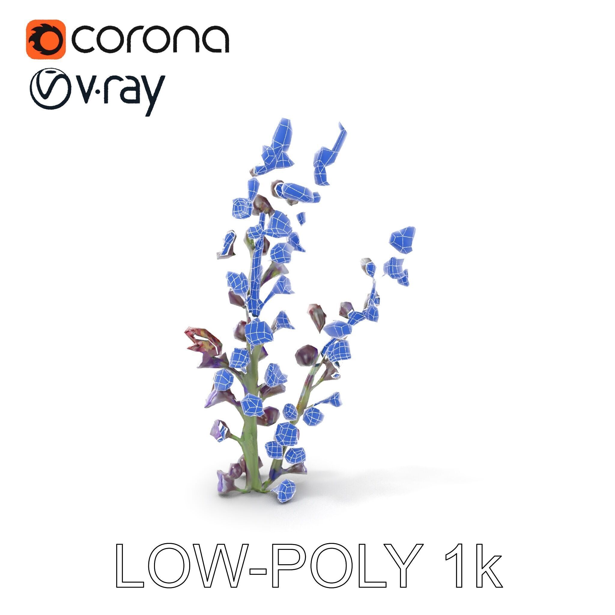 Lavender Flower Model Pack  Detailed PBR Textures Low-poly 3D model_11