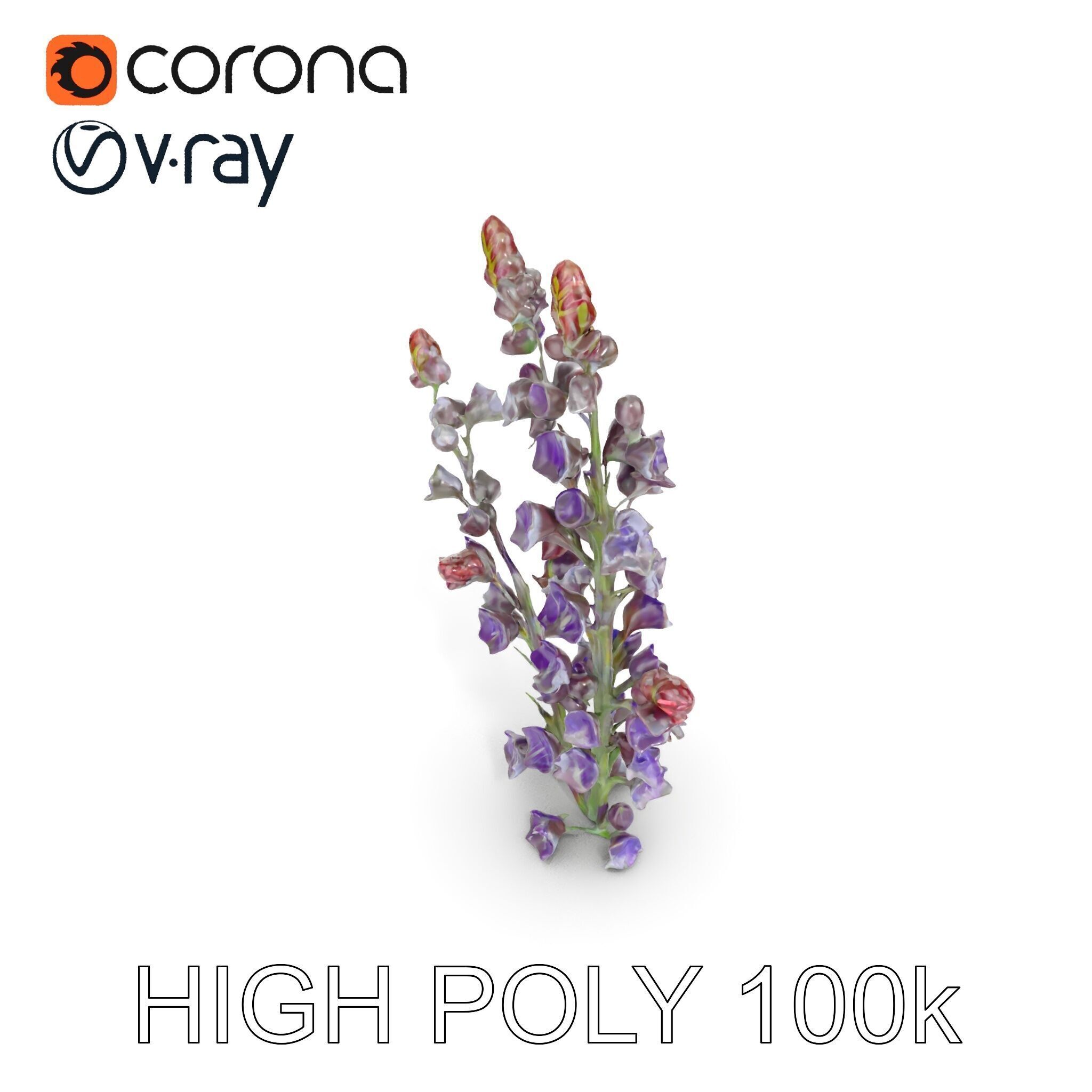 Lavender Flower Model Pack  Detailed PBR Textures Low-poly 3D model_15