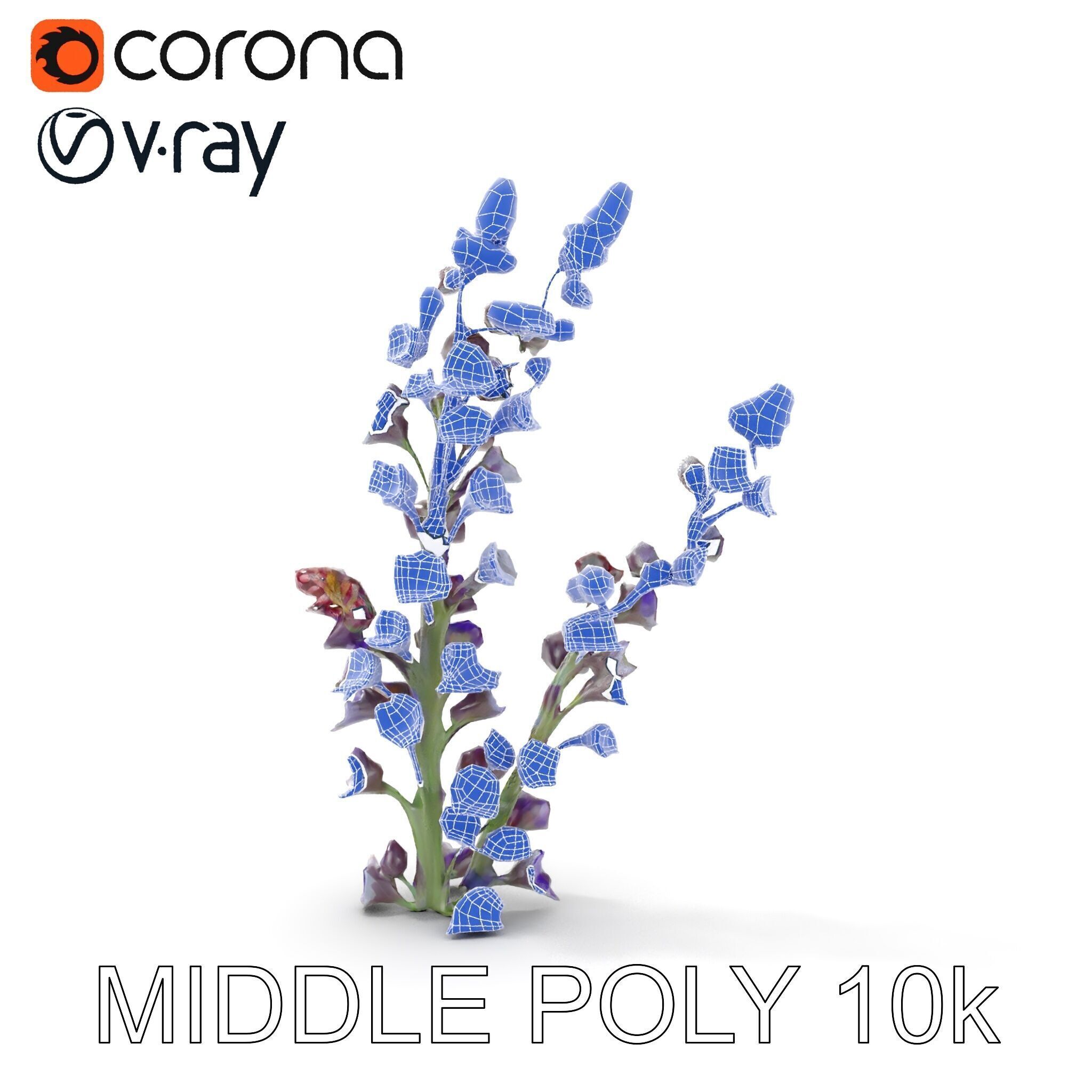 Lavender Flower Model Pack  Detailed PBR Textures Low-poly 3D model_8